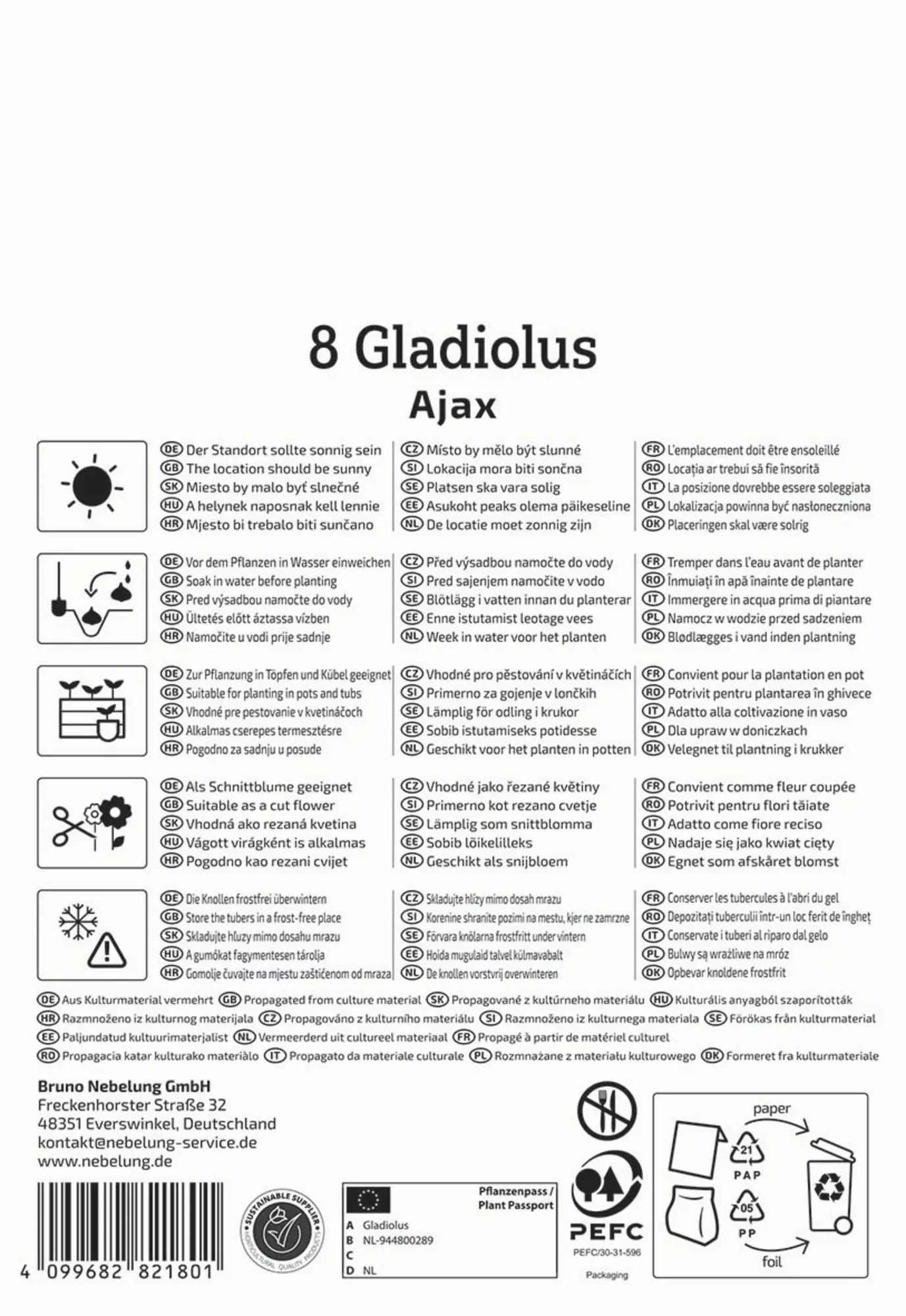 Kiepenkerl Frühjahrsblumenzwiebel Großblumige Gladiole Ajax 8 Stück