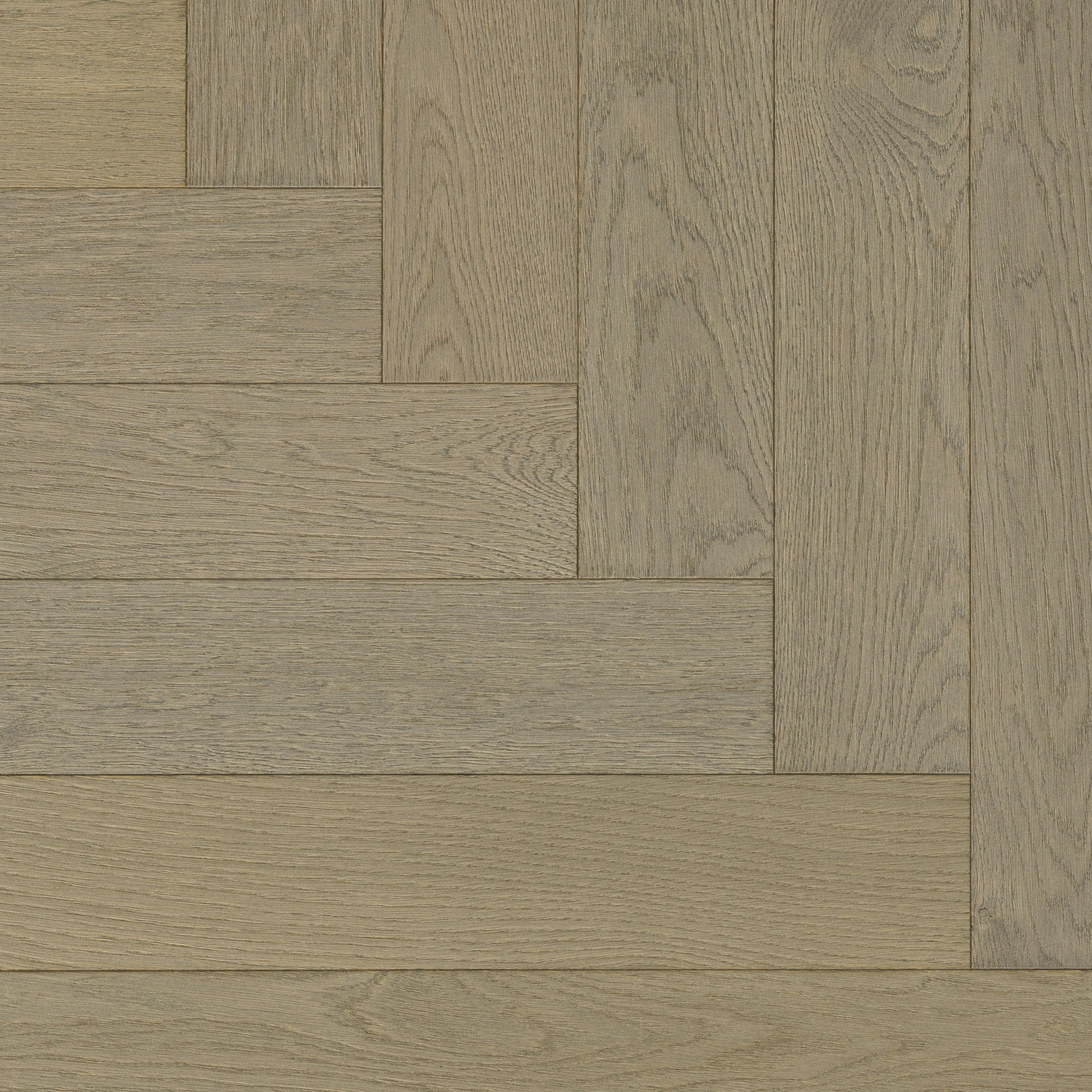 Parador Parkett Trendtime 3 Living Plus Eiche Chalet grau lackversiegelt extramatt