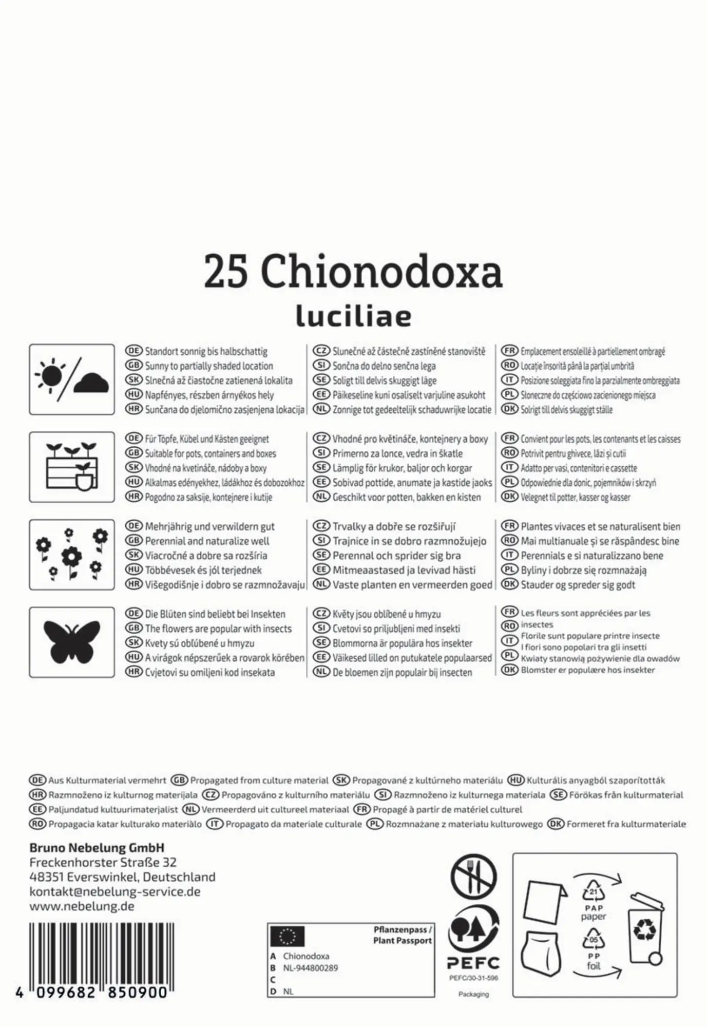 Kiepenkerl Herbstblumenzwiebel Chionodoxa Schneeglanz 25 Pflanzen