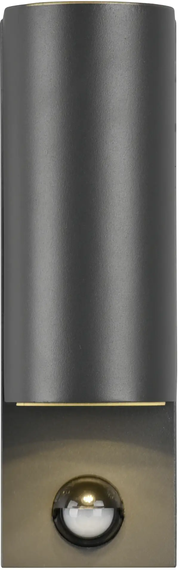 Trio Außen-Wandleuchte Roya anthrazit rund GU10 Up & Down mit Bewegungsmelder