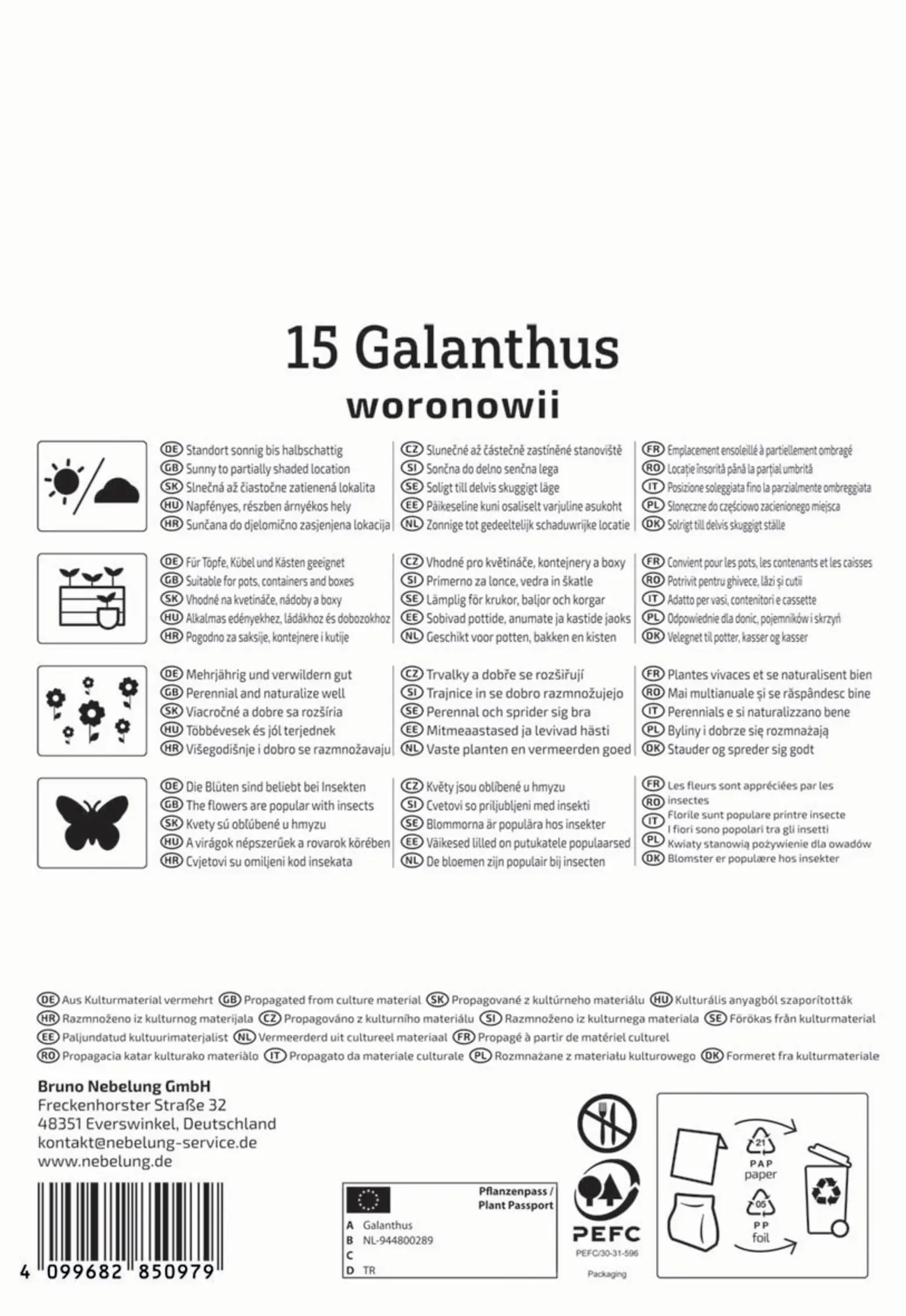Kiepenkerl Herbstblumenzwiebel Schneeglöckchen 15 Stück
