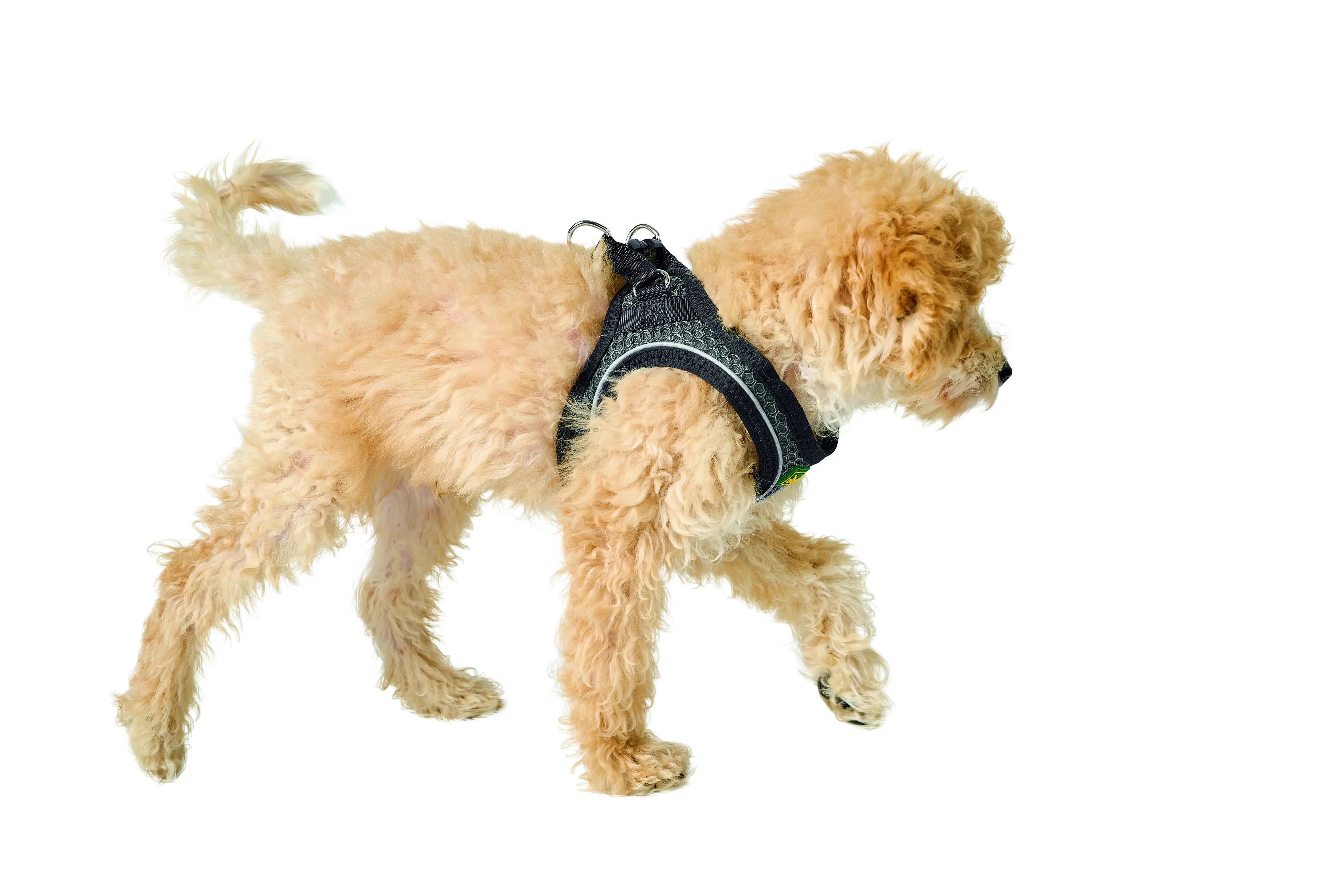 Hunter Hundegeschirr Hilo Comfort XS anthrazit