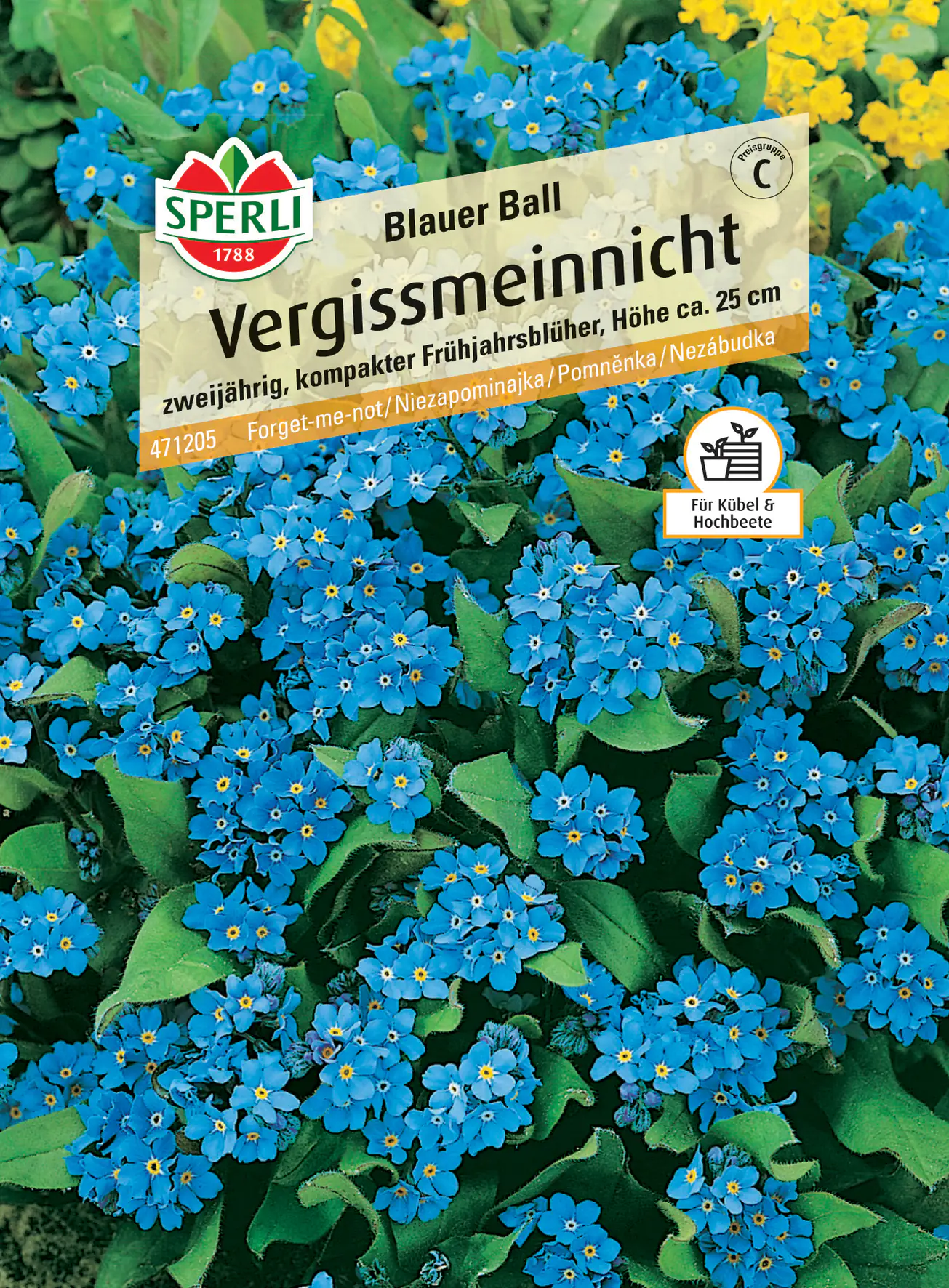 Sperli Vergissmeinnicht Blauer Ball