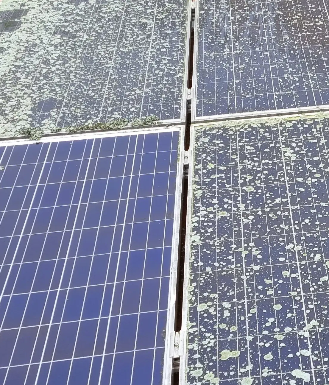 Edialux Enzimo Solaranlagen- & PV-Anlagen-Reiniger 2,5L