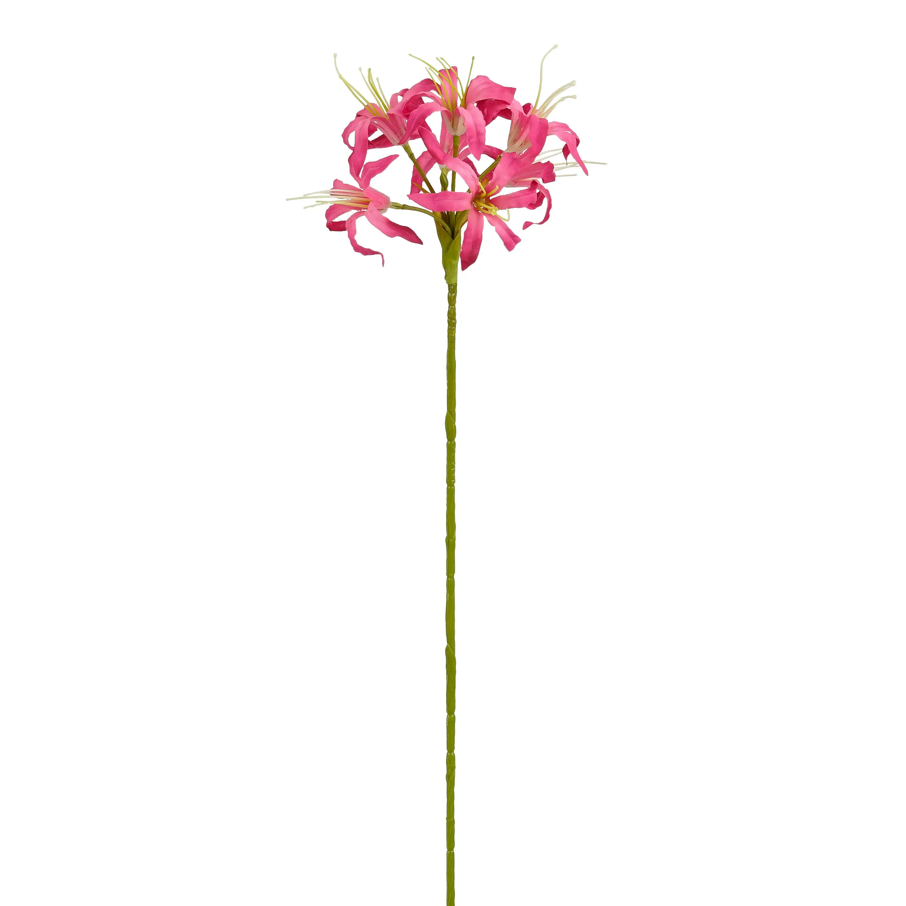 Mica Decorations Kunstpflanze Nerine dunkelrosa 59 cm