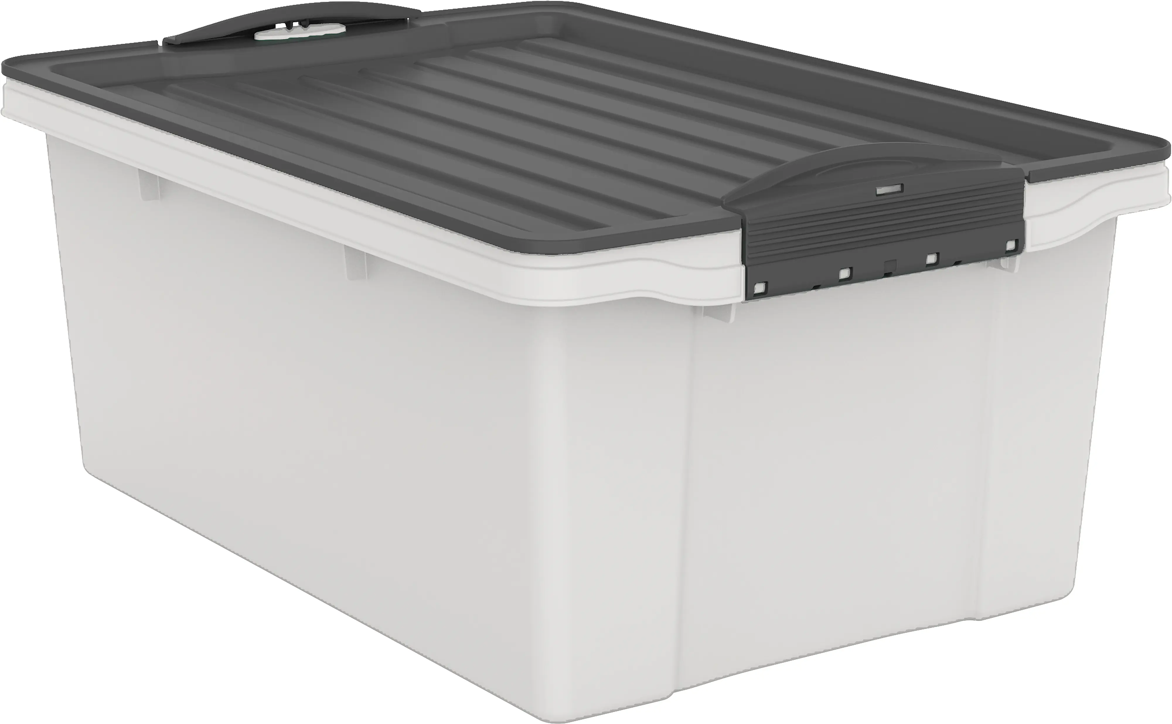 Rotho Aufbewahrungsbox Compact mit Deckel 39,5 x 27,5 cm 13 L mistletoe weiß