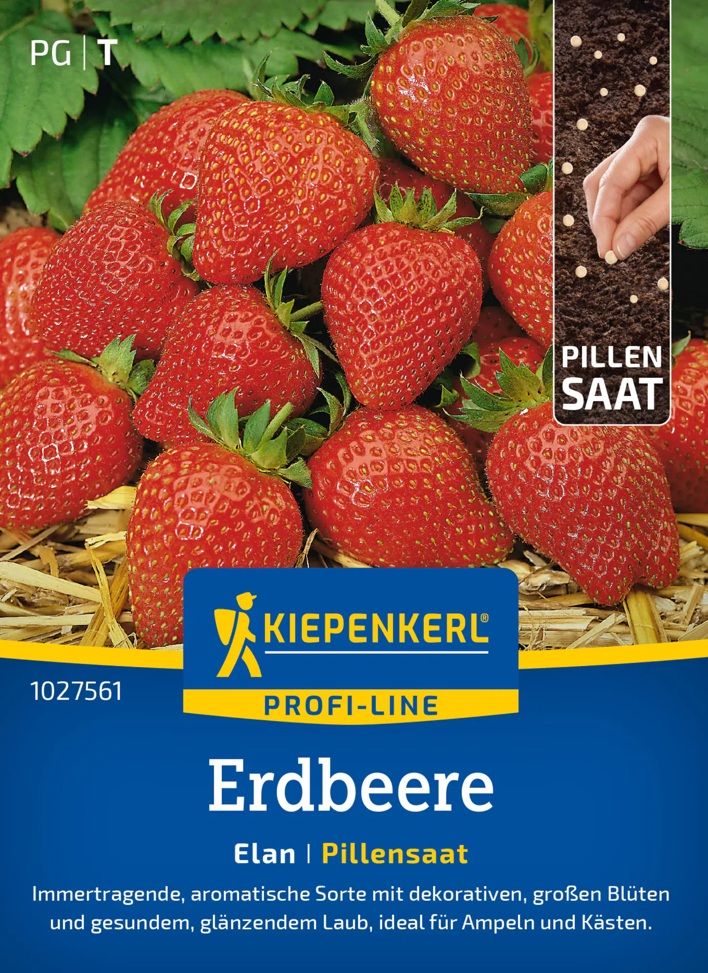 Kiepenkerl Profi-Line Saatgut Erdbeere Elan F1 Pillensaat für ca. 6 Pflanzen