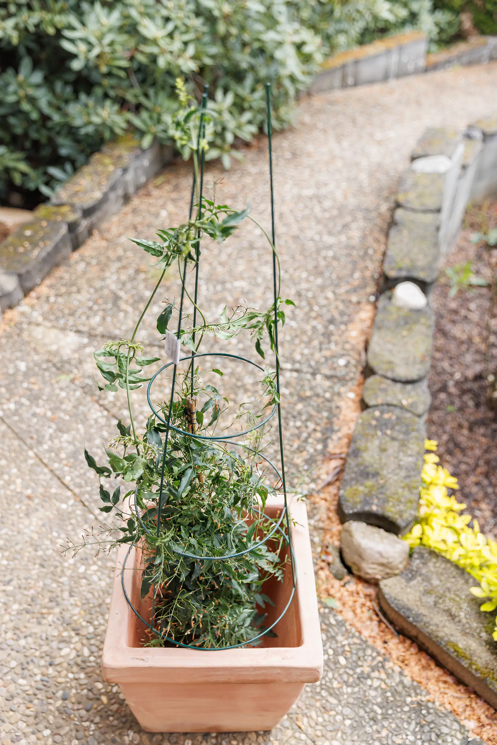 TrendLine Rankstütze Ø 35 x 105 cm