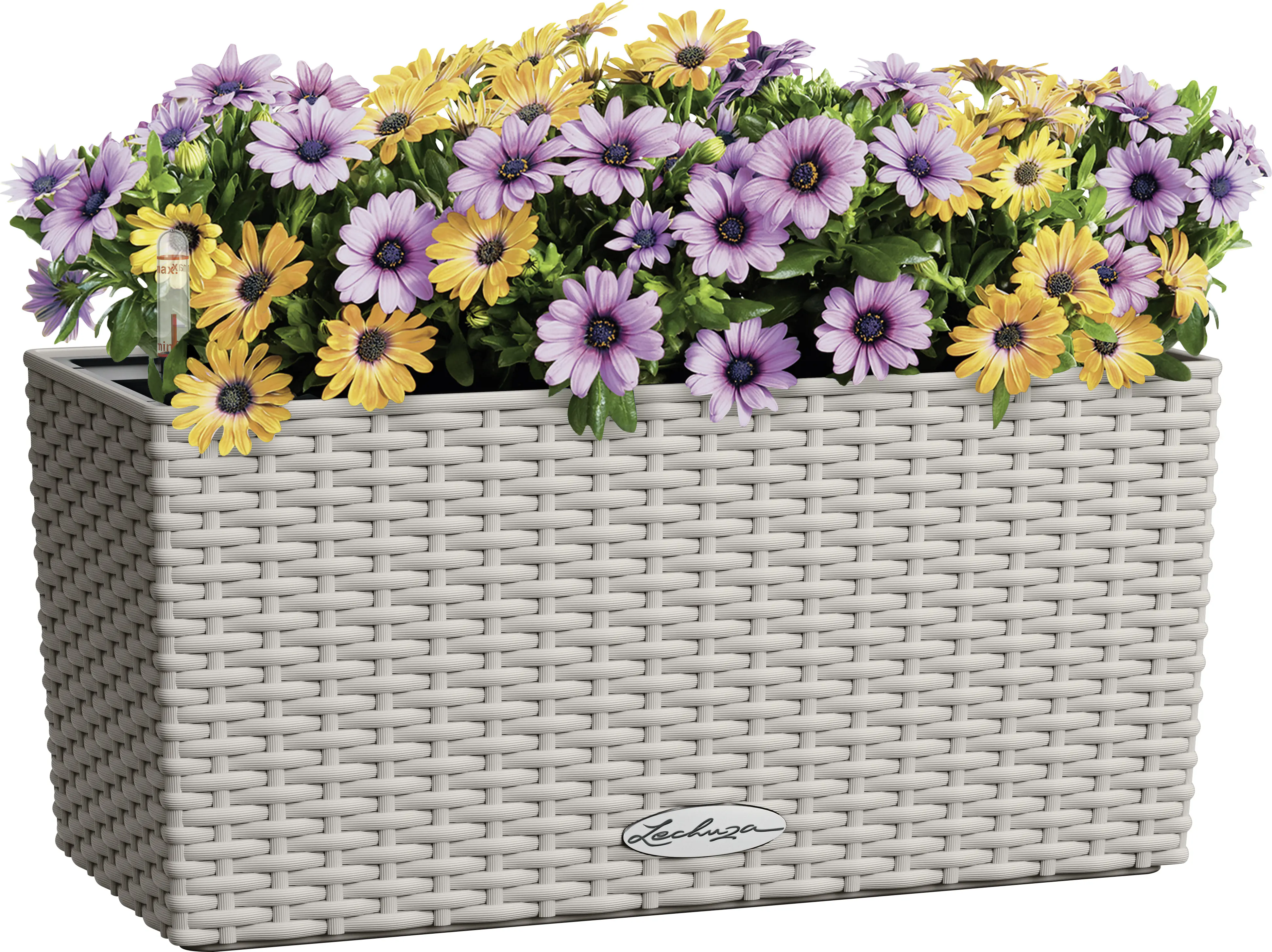 Lechuza Blumenkasten-Set Balconera Cottage 40 Kunststoff sandbraun 40,4 x 19,2 cm