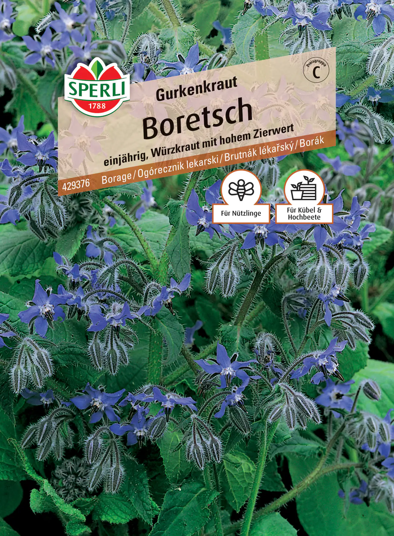 Sperli Boretsch Gurkenkraut Sperli Boretsch Gurkenkraut