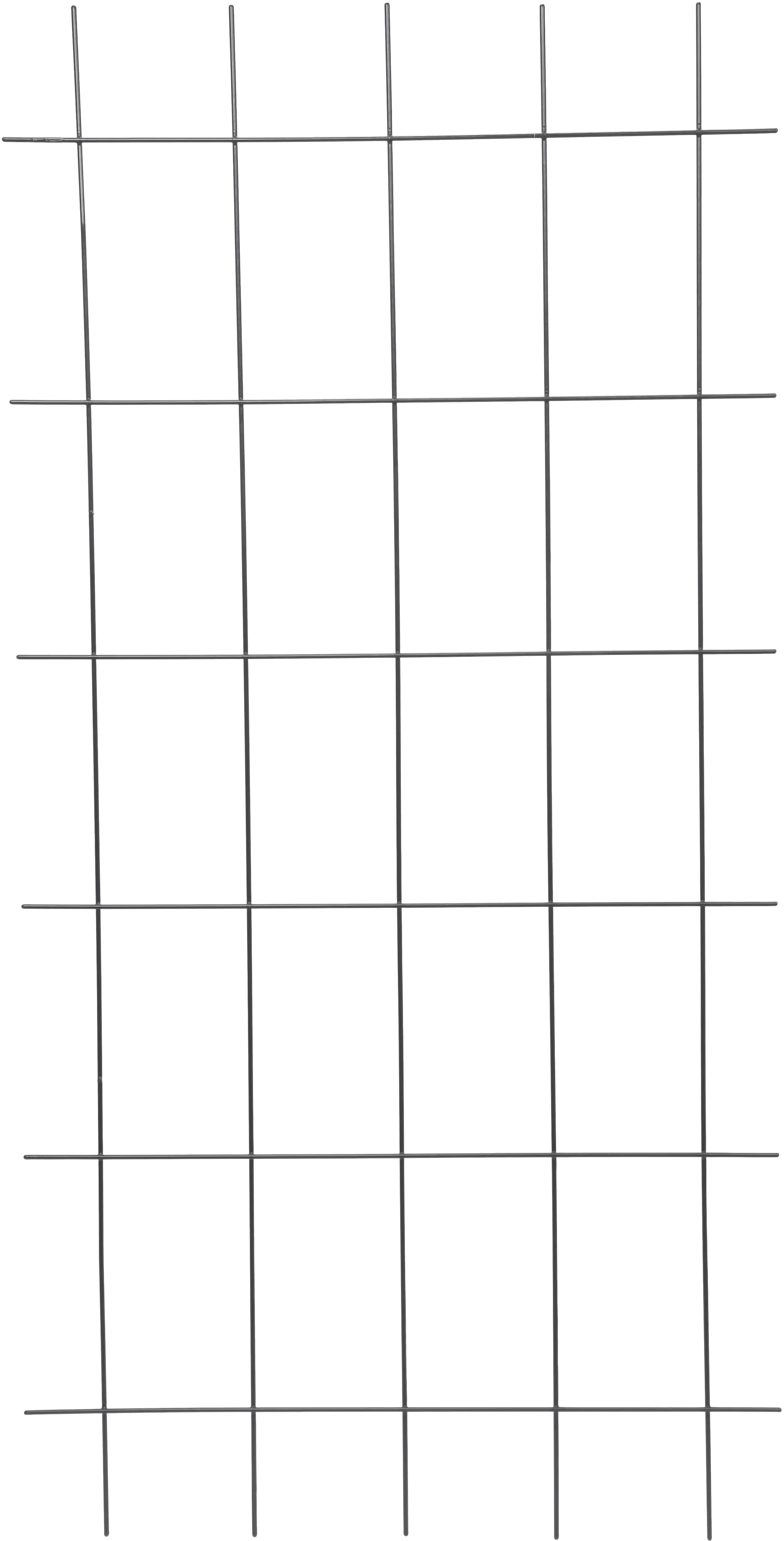 TrendLine Spaliergitter 150x75cm anthrazit 150 x 75 cm