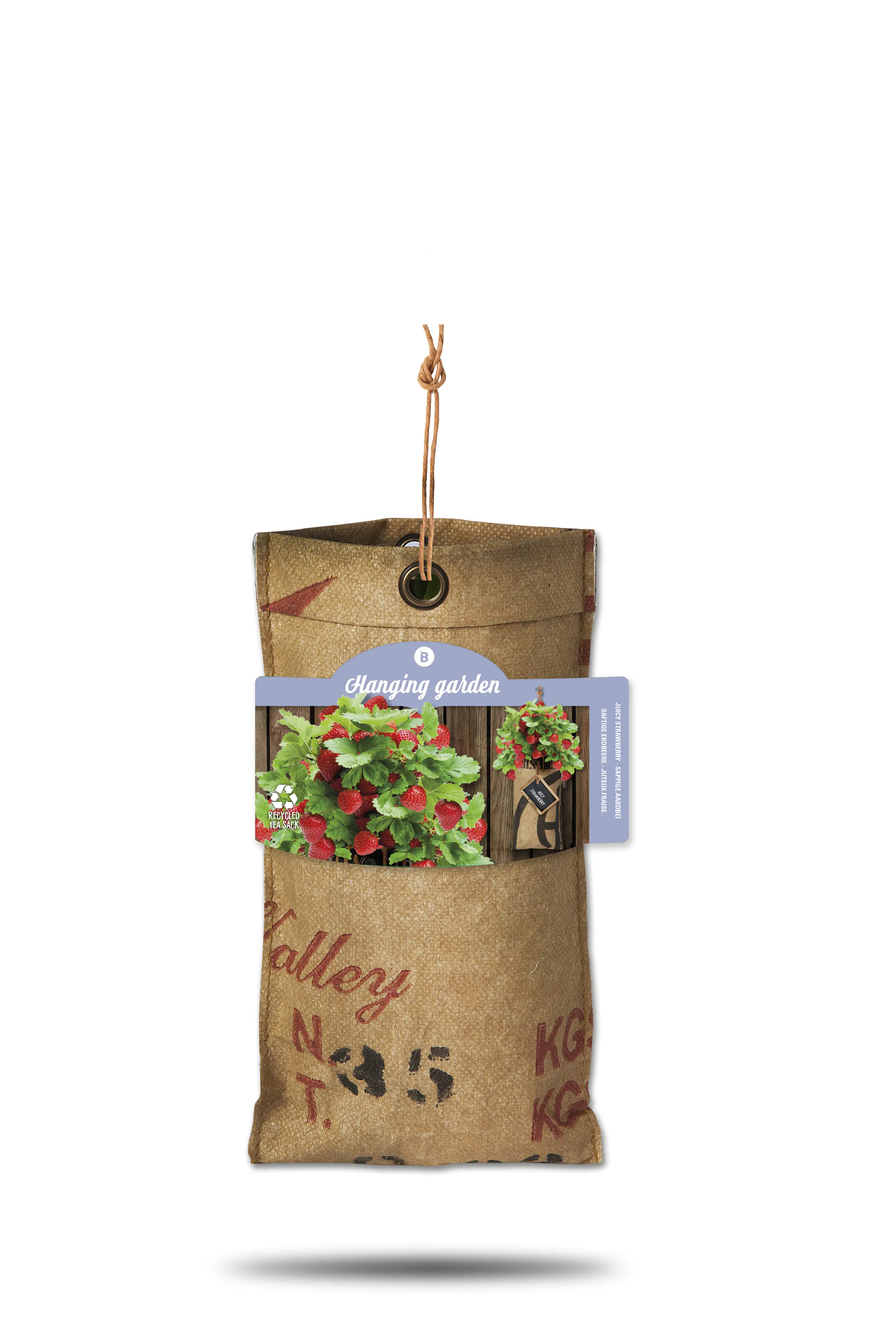 Baza Seeds hängender Garten saftige Erdbeere