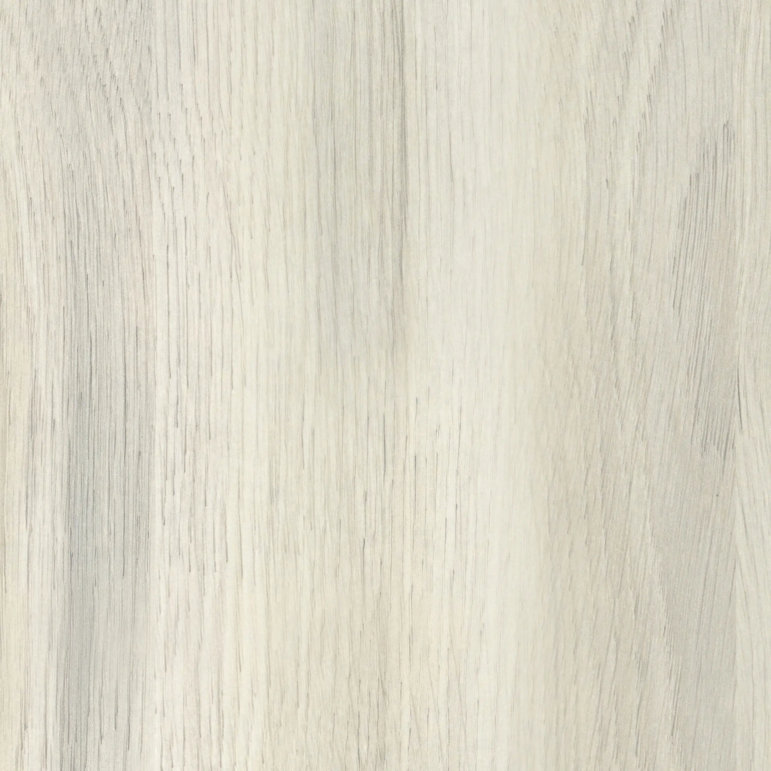Wetwall Elite Wandpaneel  White Oak 60 x 242 cm mit Nut & Feder