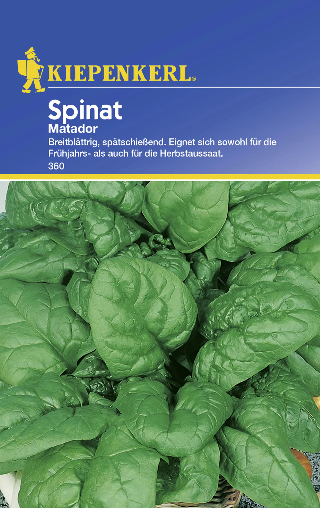 Kiepenkerl Spinat Matador Spinacia oleracea, Inhalt: ca. 8 lfd. Meter