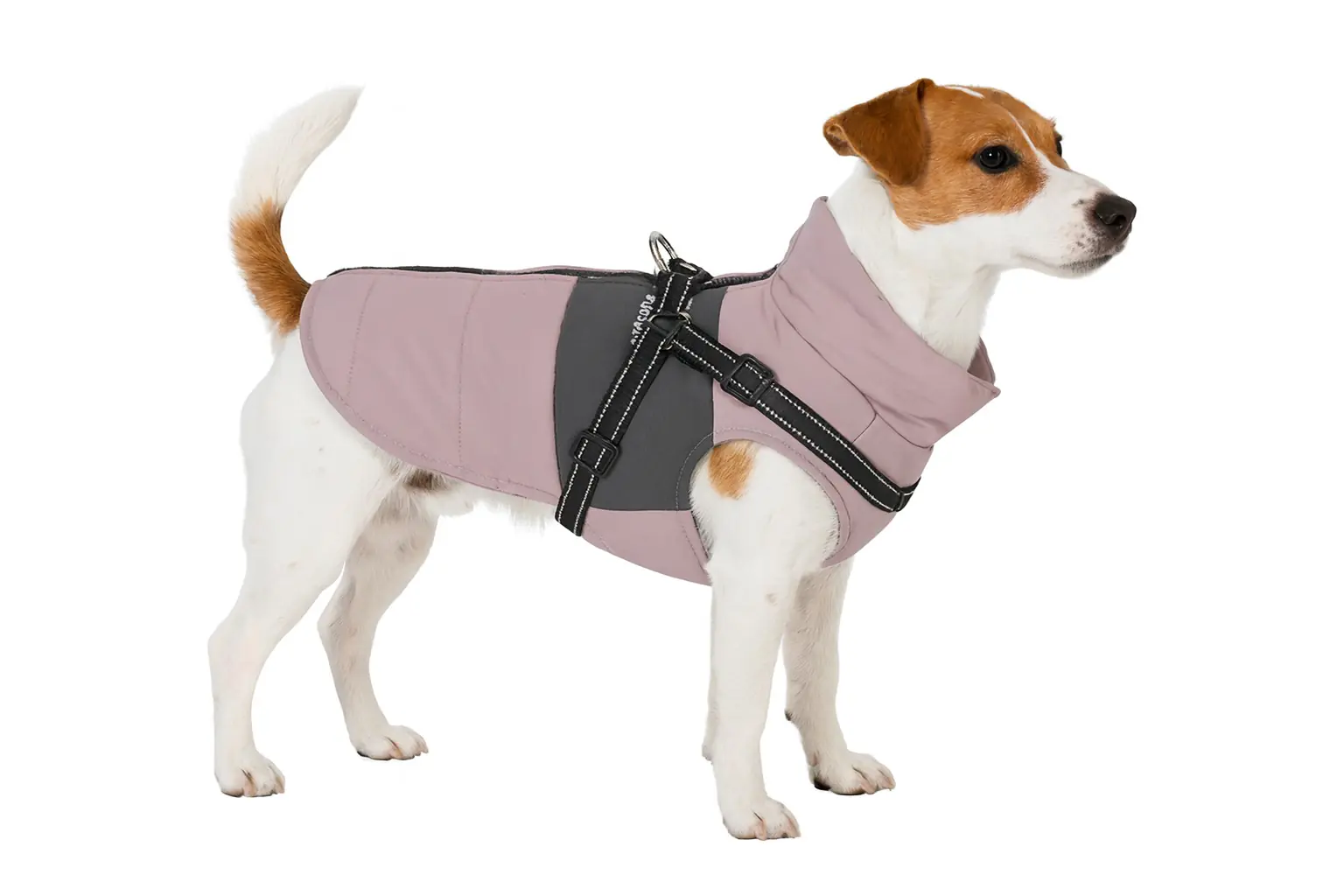 Nobby Hundemantel Change 2 in 1 Rückenlänge 32 cm, flieder Nobby Hundemantel Change 2 in 1 Rückenlänge 32 cm, flieder