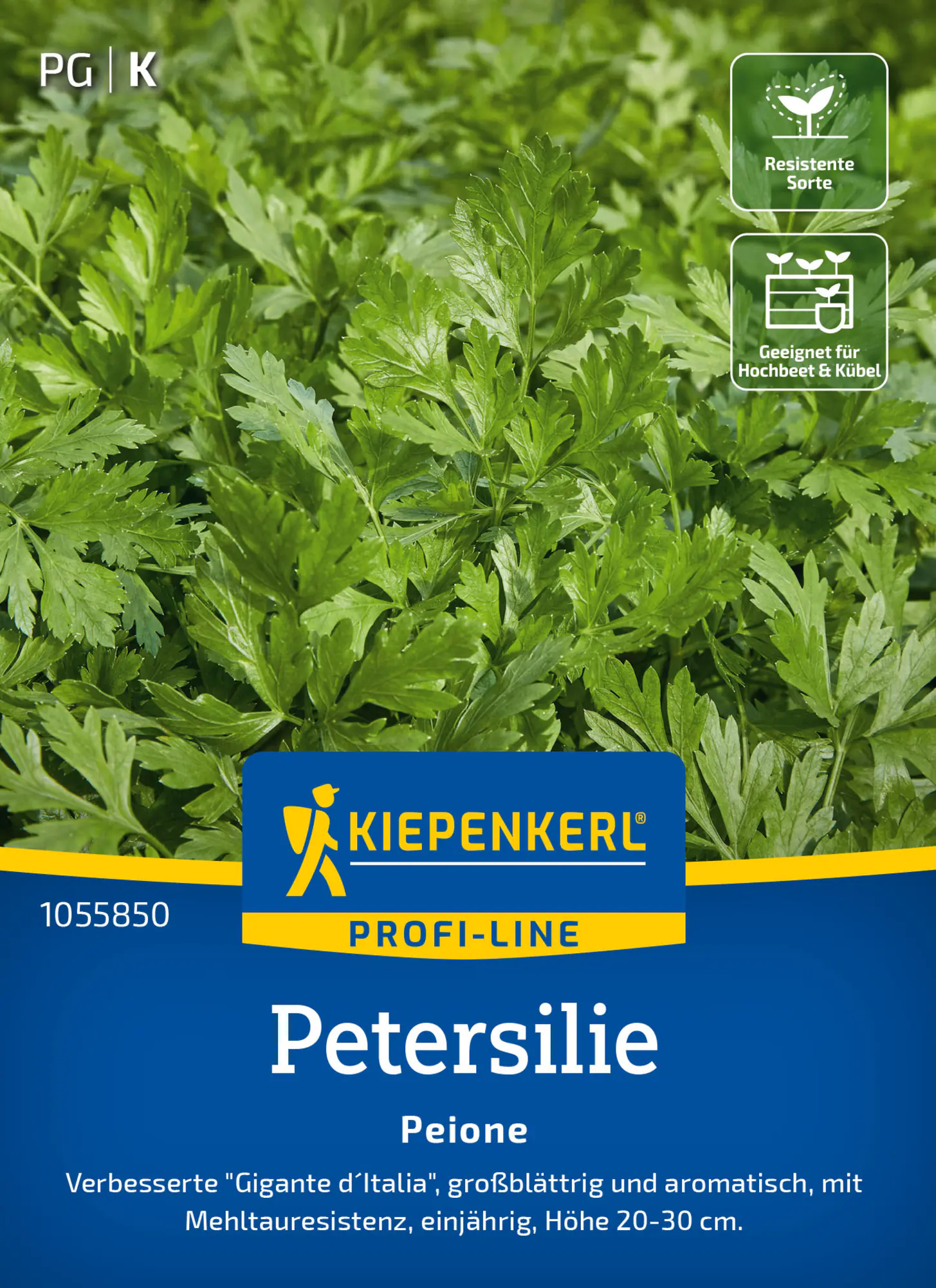 Kiepenkerl Saatgut Profi-Line Petersilien Peione ca. 150 Pflanzen