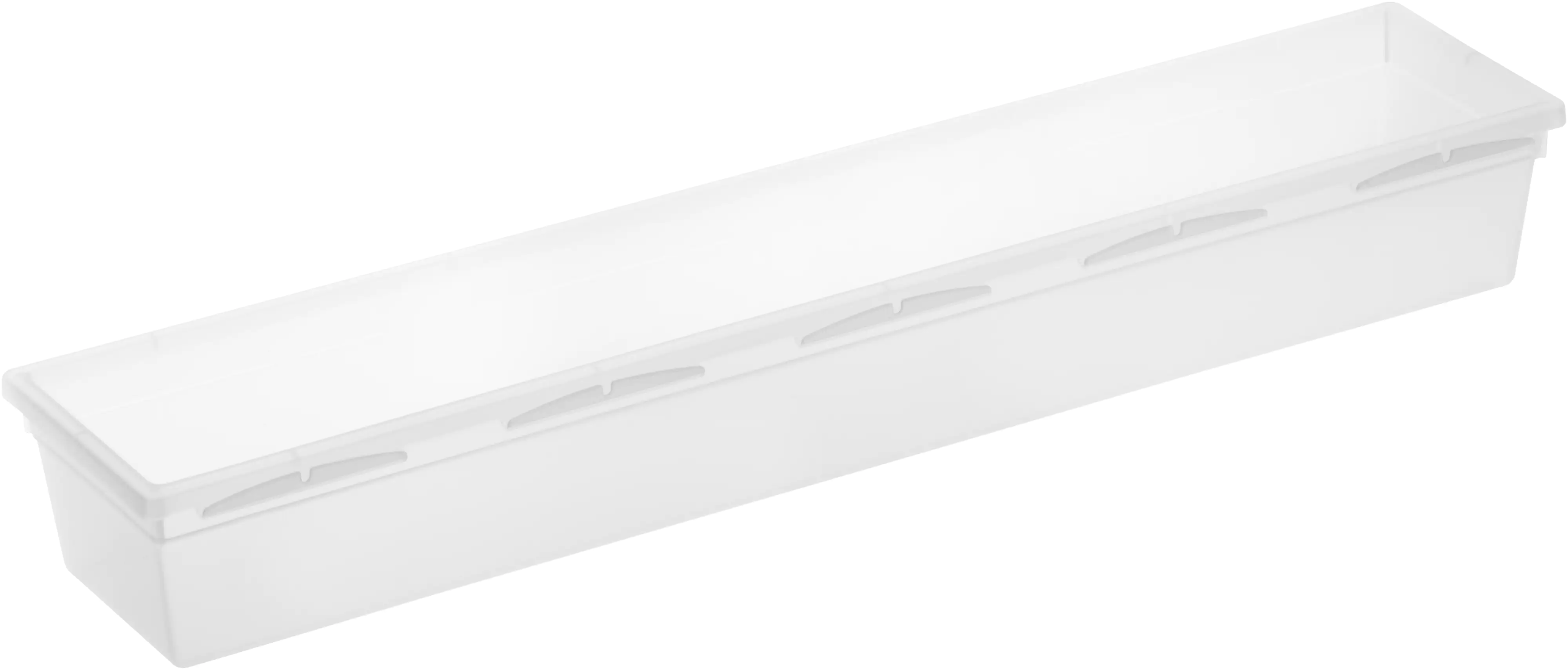 Rotho Ordnungssystem Basic 38 x 8 x 5 cm, transparent
