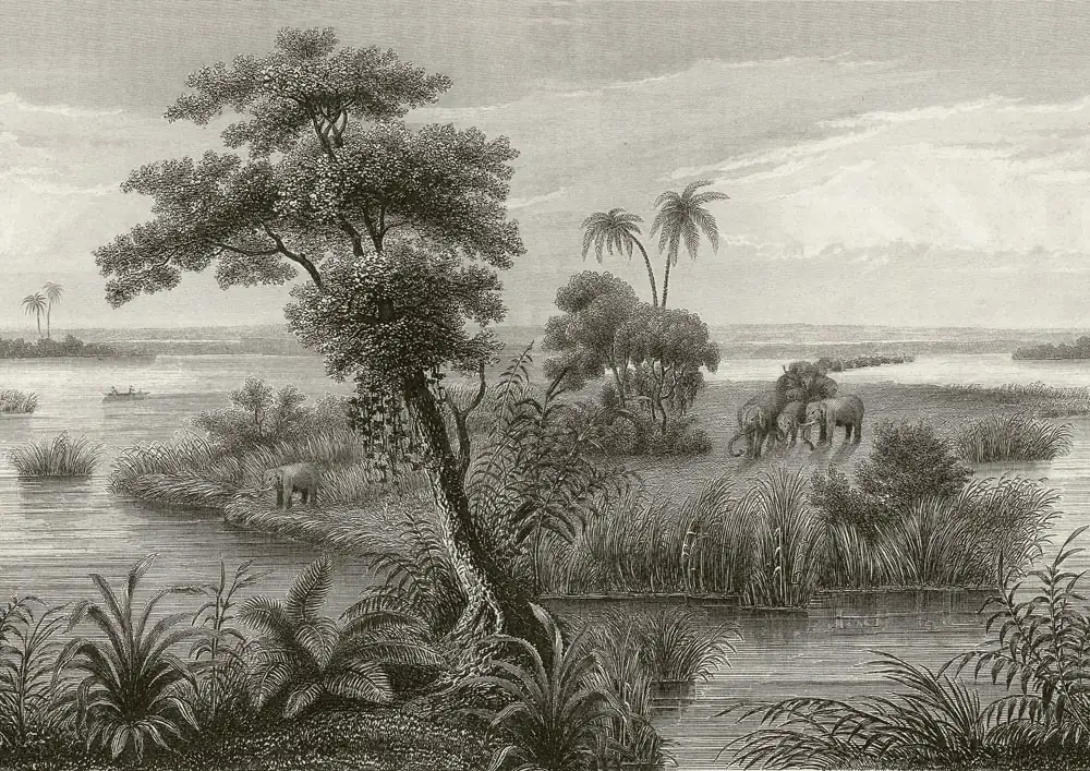 Rasch Vlies Fototapete 556131 Schwarz-Anthrazit Muster & Motive 3 m x 4,24 m