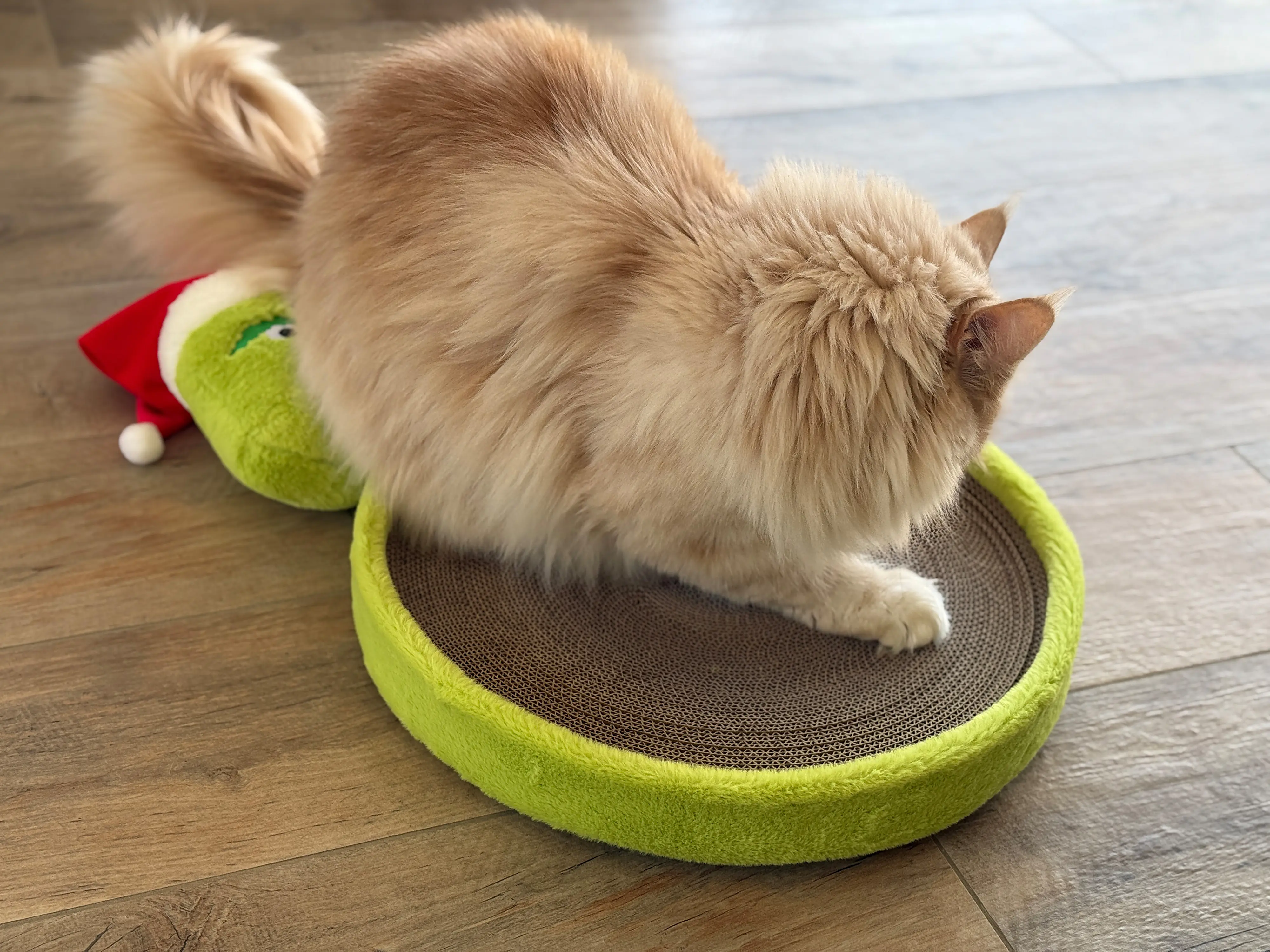 Aumüller Katzenspielzeug Weihnachtsmuffel Kratzpappe 58 cm grün Aumüller Katzenspielzeug Weihnachtsmuffel Kratzpappe 58 cm grün