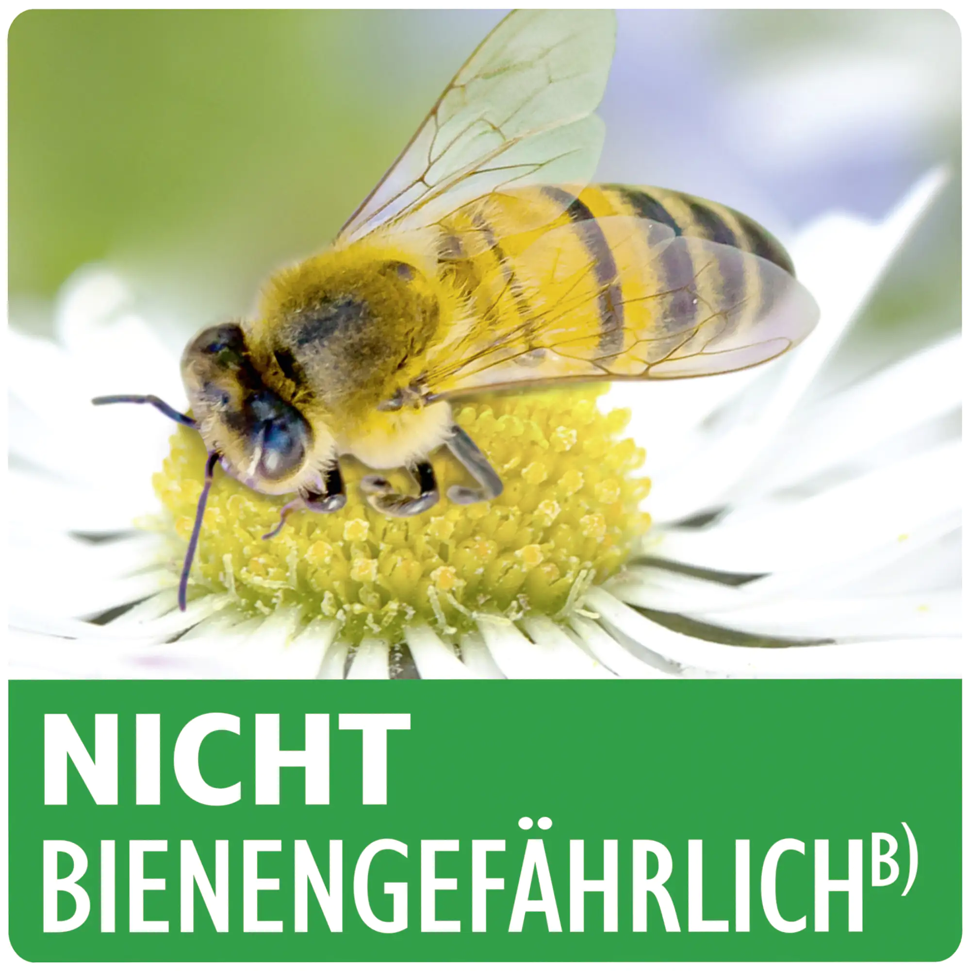 Spruzit Schädlingsspray 400 ml Spruzit Schädlingsspray 400 ml