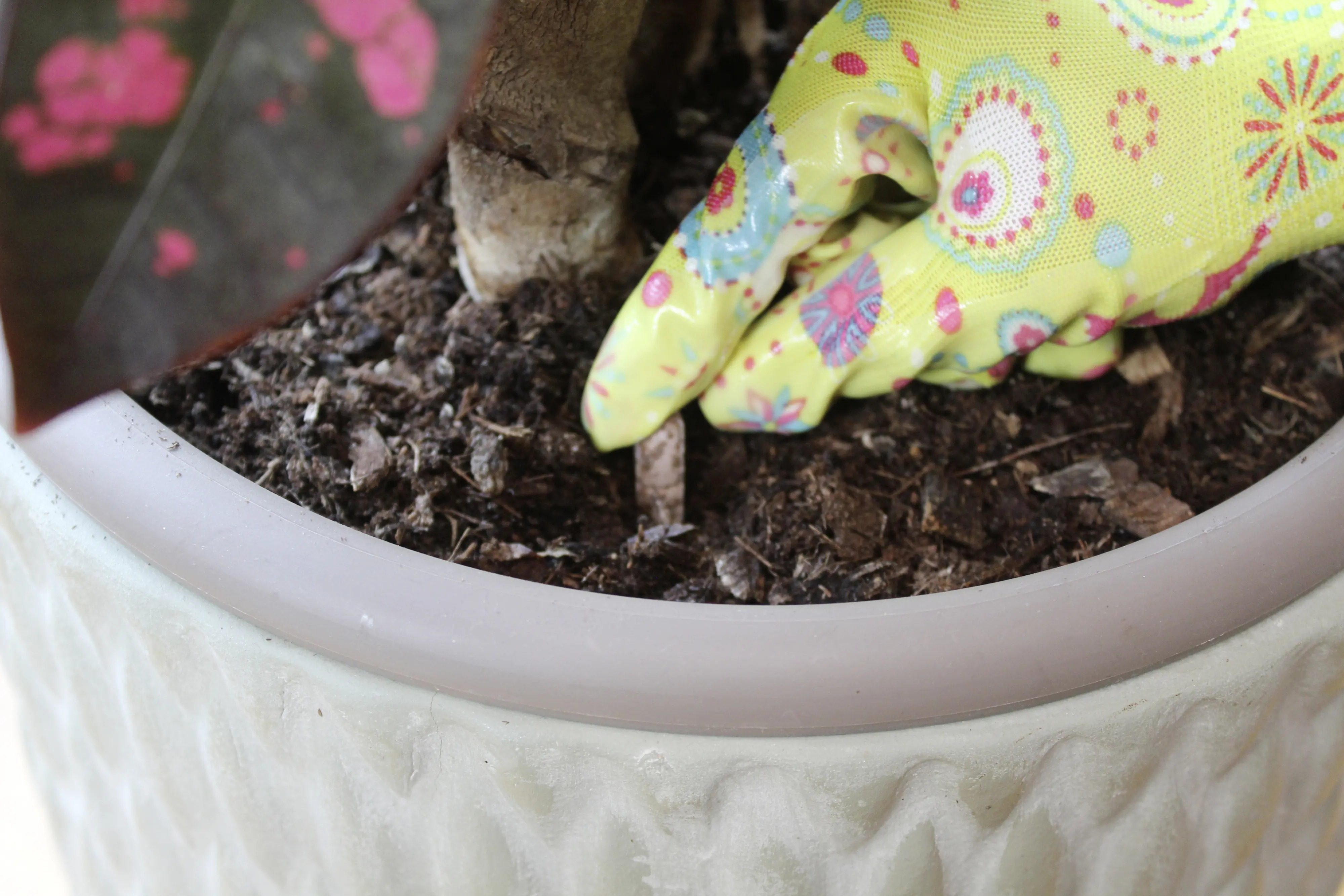 Protect Garden Lizetan Plus Combistäbchen 2 in 1 10 Stück Protect Garden Lizetan Plus Combistäbchen 2 in 1 10 Stück