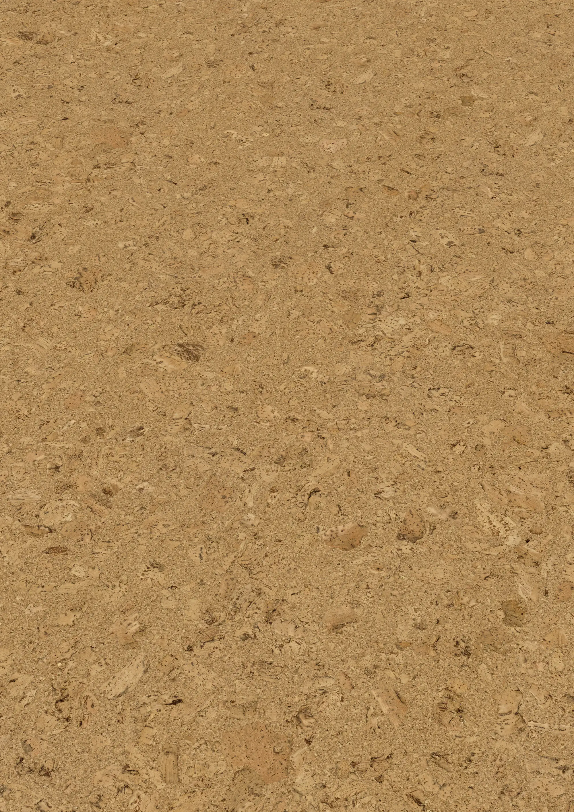 Corklife Korkboden Studiostyle Evora