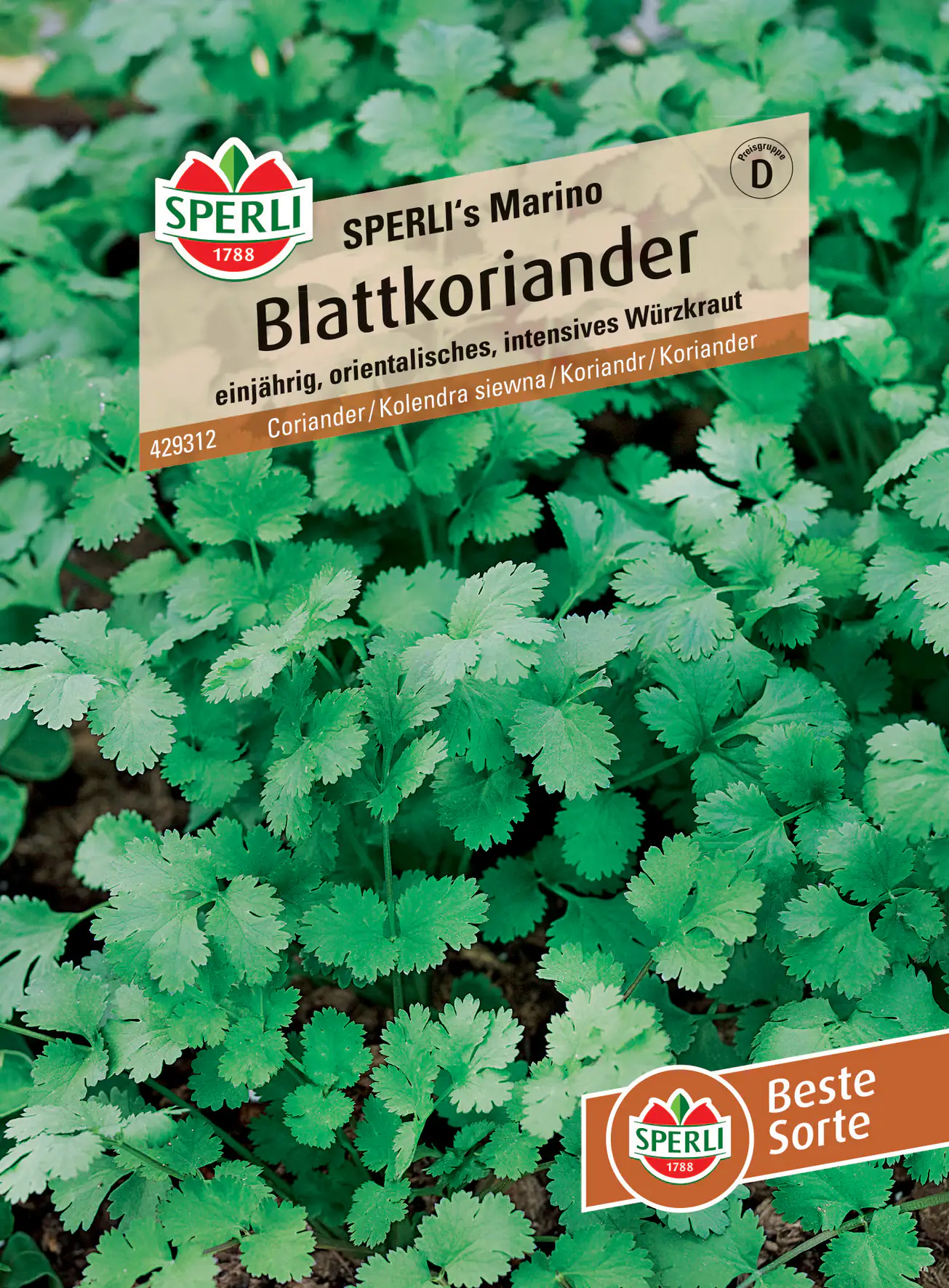 Sperli Blattkoriander Sperli 's Marino Sperli Blattkoriander Sperli 's Marino