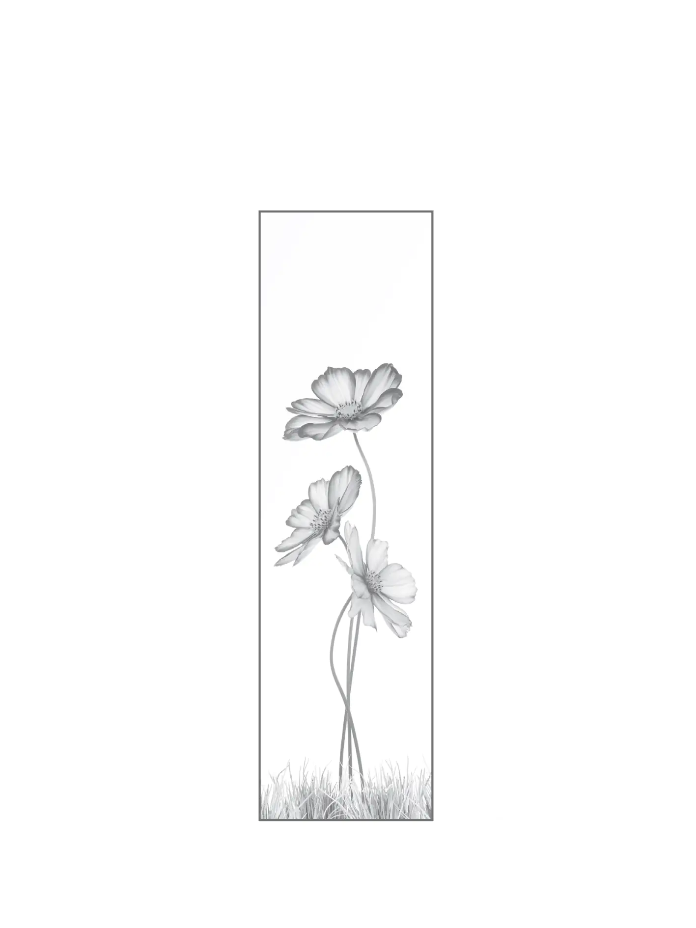 Ambiente Glaszaun Dekor 93 51,5 x 180 cm gehärtetes 8 mm Glas