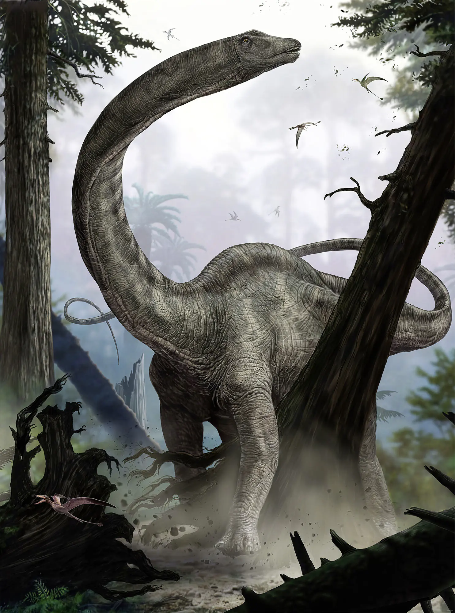 Komar Vlies Fototapete Rebbachisaurus 184 x 248 cm 