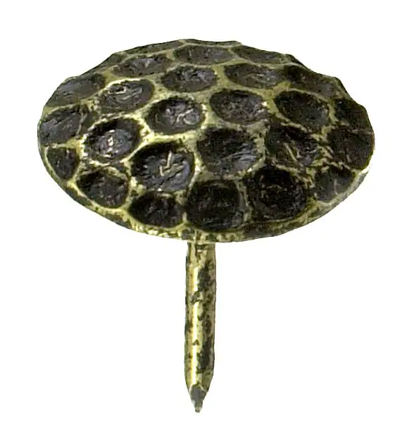 Ziernägel Ø 22,0 x 12,5 mm, 12 Stück