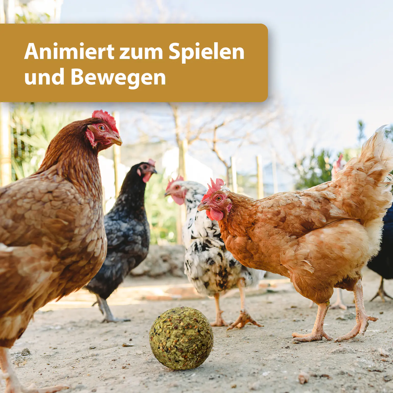 Quiko Hobbyfarming Fitness Kräuterball für Hühner und Geflügel 400 g