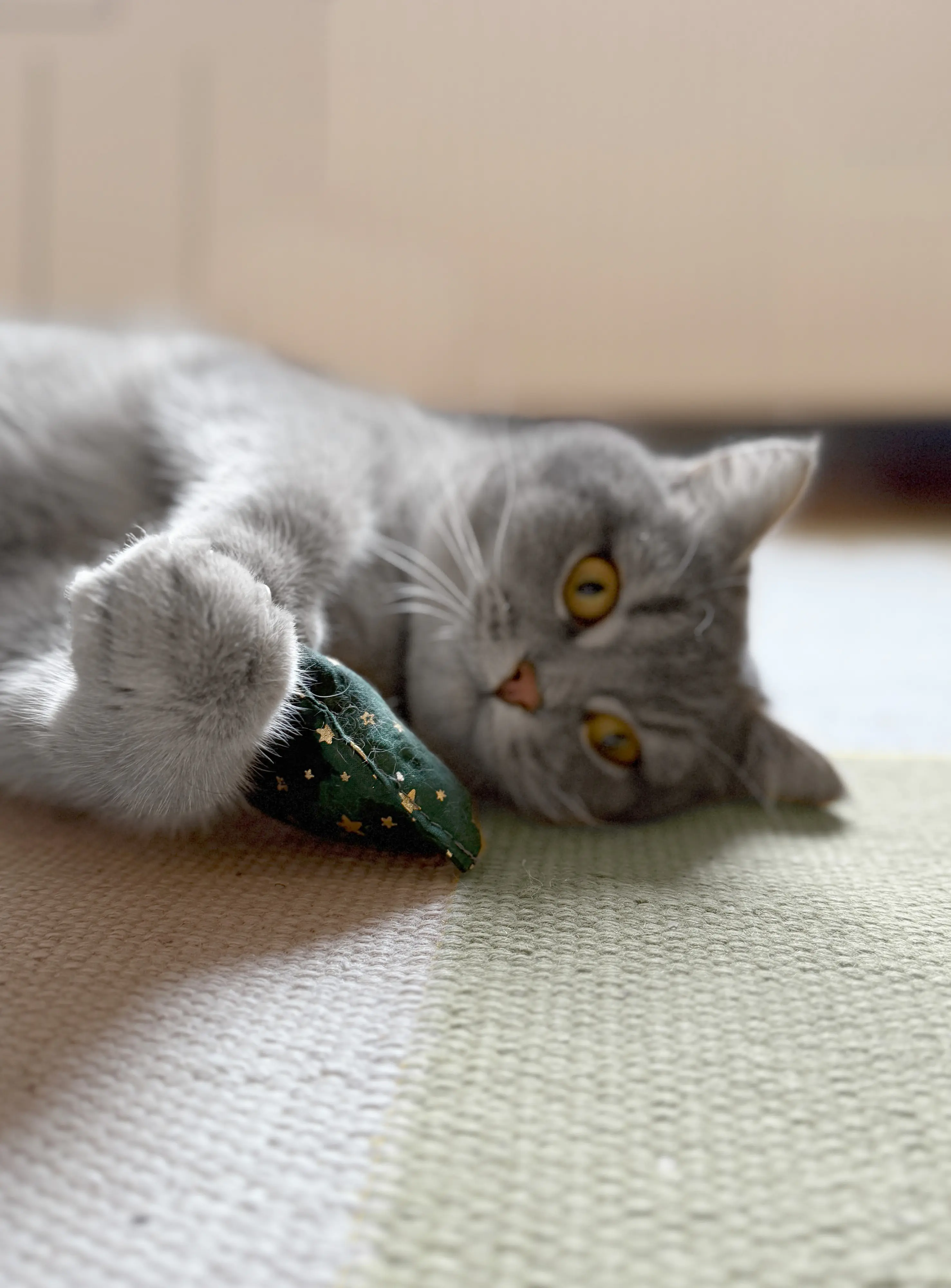 Aumüller Katzenspielzeug Weihnachten Kissen 10 cm grün gold - 2 Stk. Aumüller Katzenspielzeug Weihnachten Kissen 10 cm grün gold - 2 Stk.