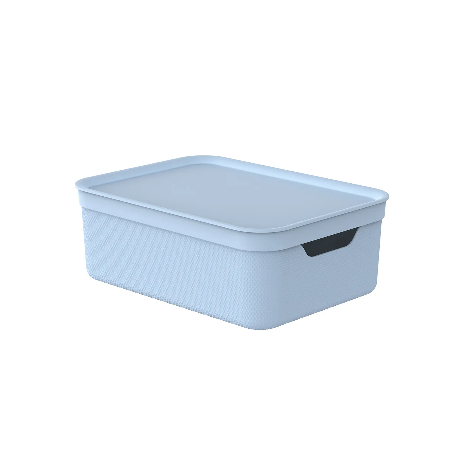 Rotho Aufbewahrungsbox Alvra mit Deckel 36,5 x 26,5 cm 10 L soft blau