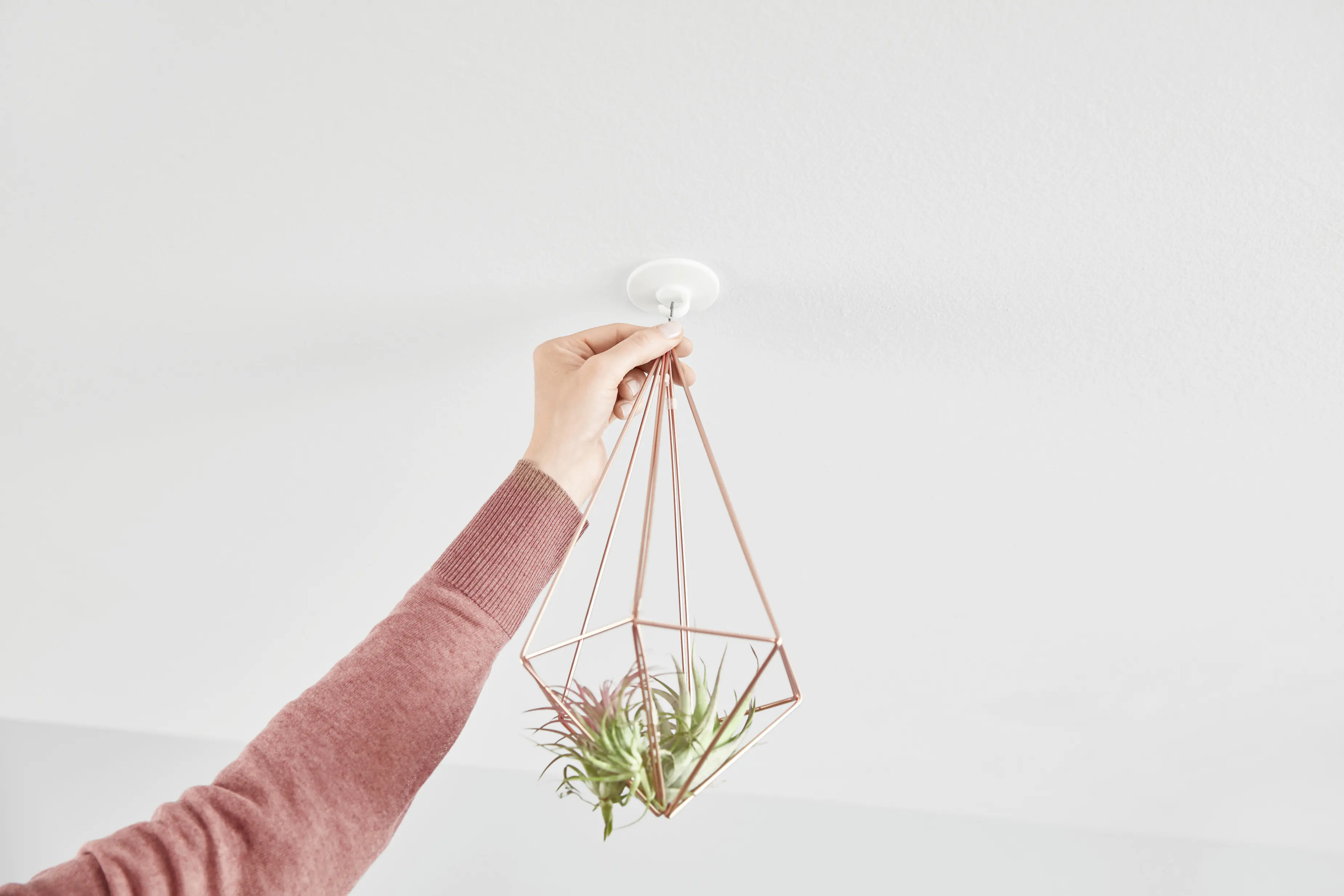 tesa Deckenhaken Traglast 0,5 kg