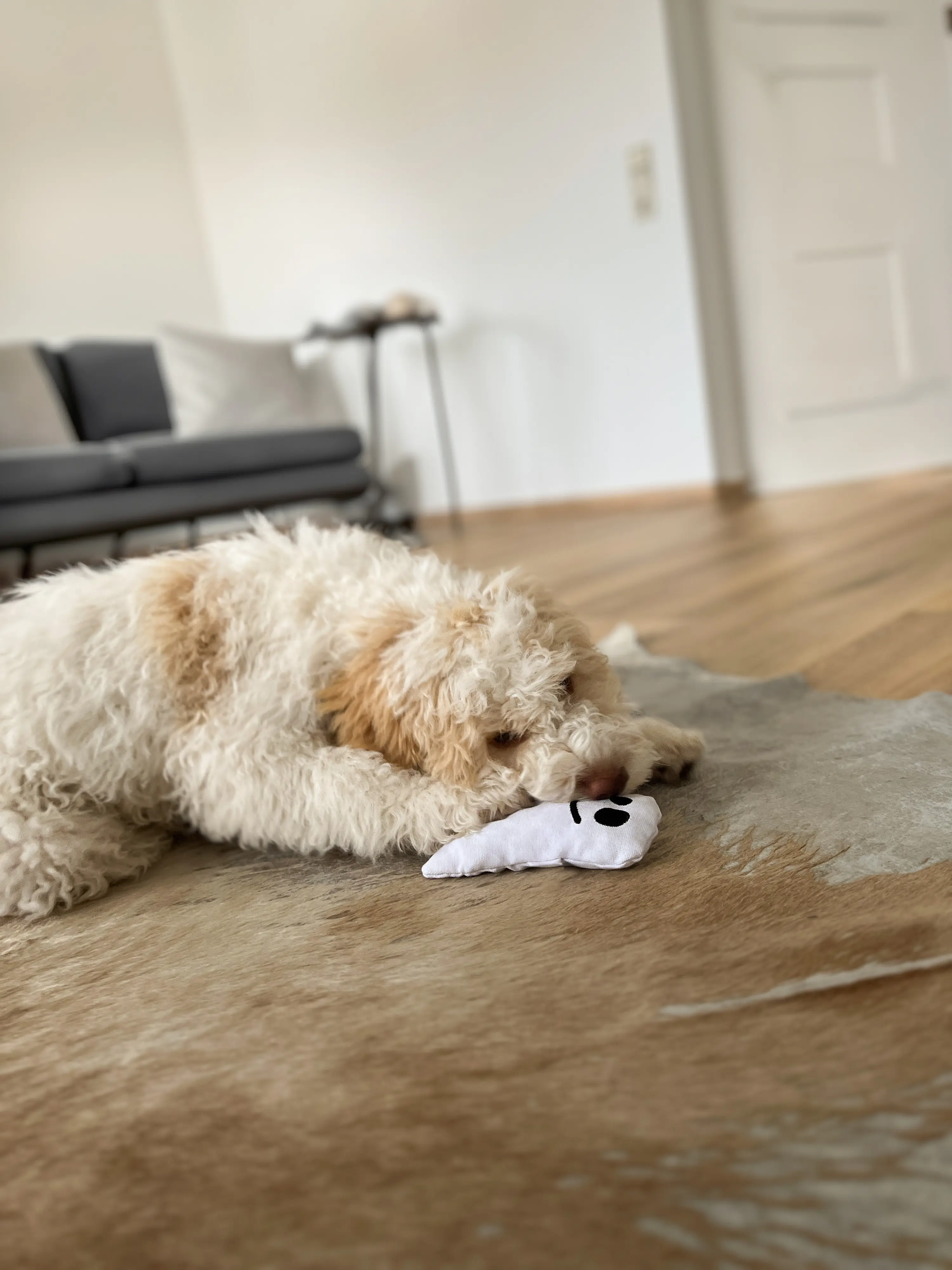 Aumüller Hundespielzeug Geist 16 cm weiß schwarz Aumüller Hundespielzeug Geist 16 cm weiß schwarz