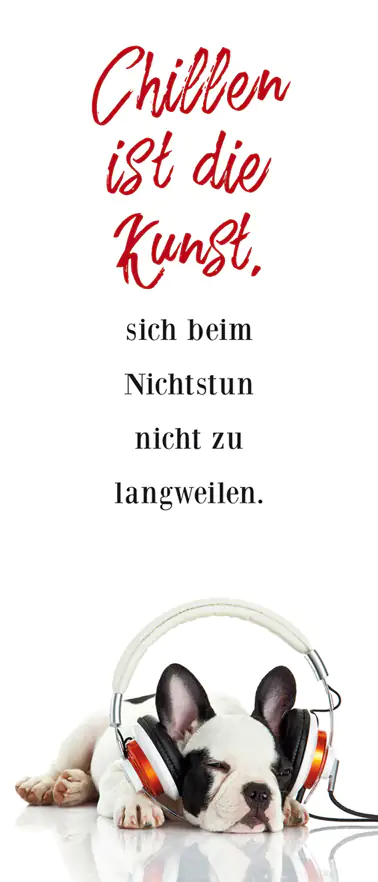 Deco-Canvas Bild - Gechillter Hund 30 x 70 cm