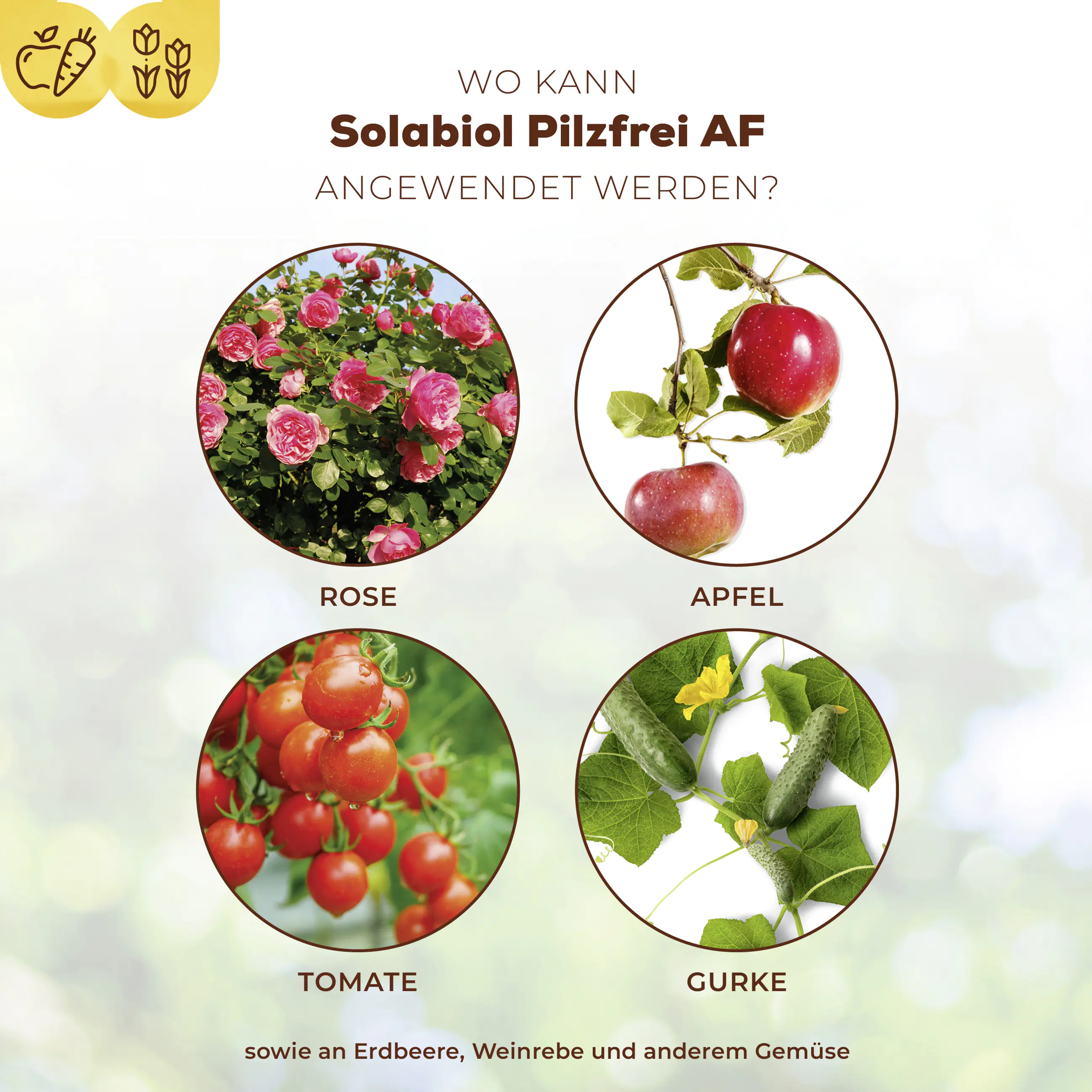 Solabiol Pilzfrei AF 750 ml Solabiol Pilzfrei AF 750 ml