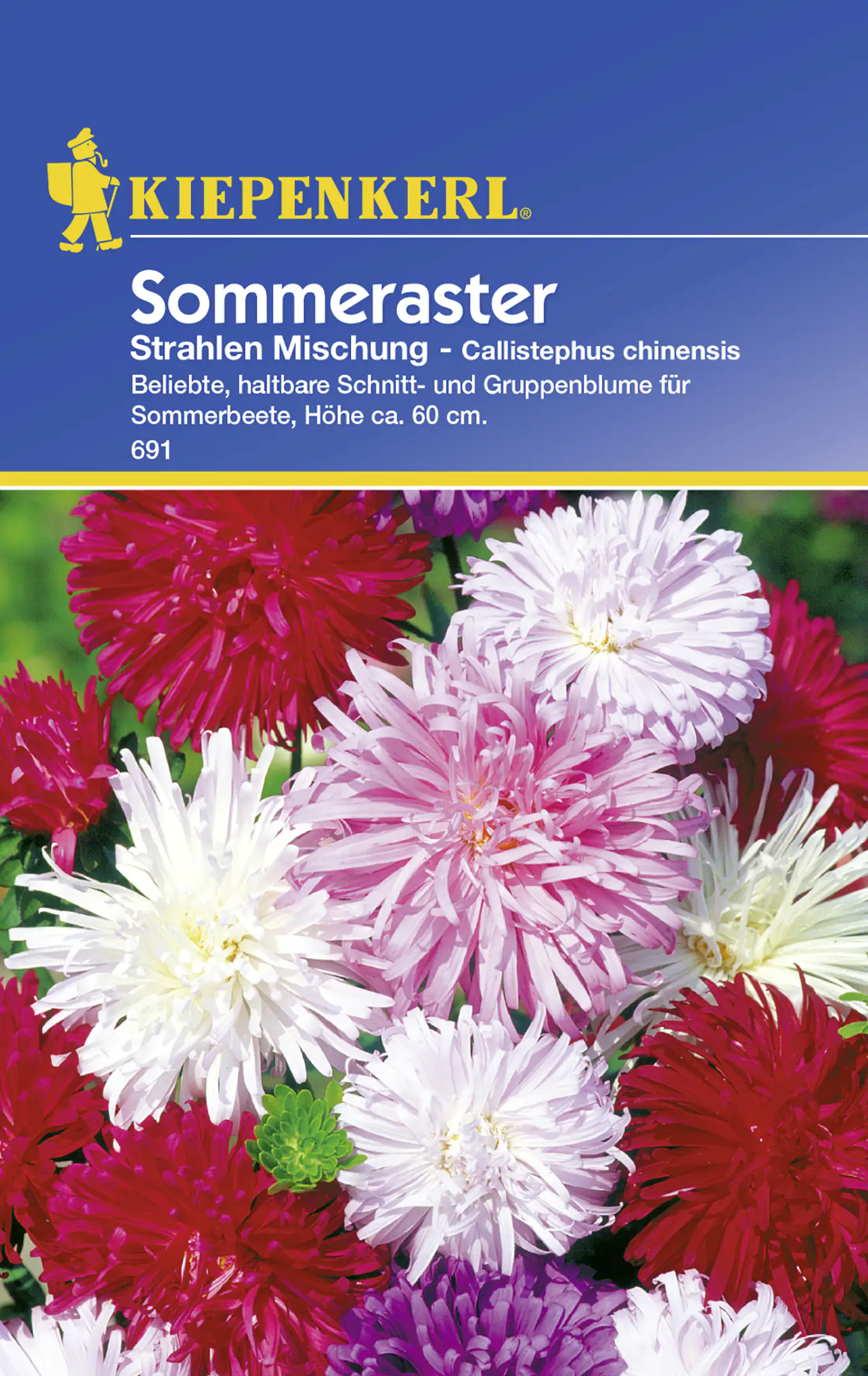 Kiepenkerl Sommeraster Strahlen Mischung Callistephus chinensis, Inhalt: ca. 50 Pflanzen