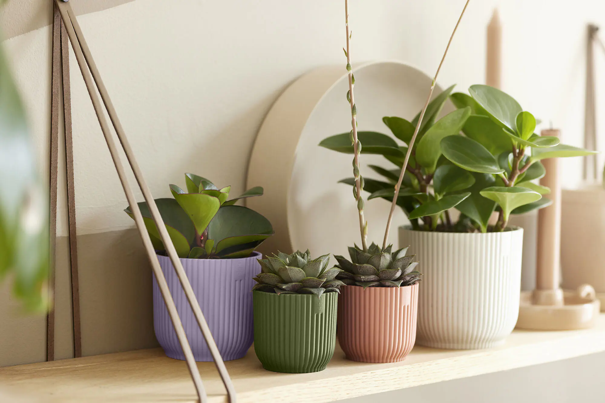 Elho Blumentopf Vibes Fold Kunststoff seidenweiß Ø 11 x 11 cm