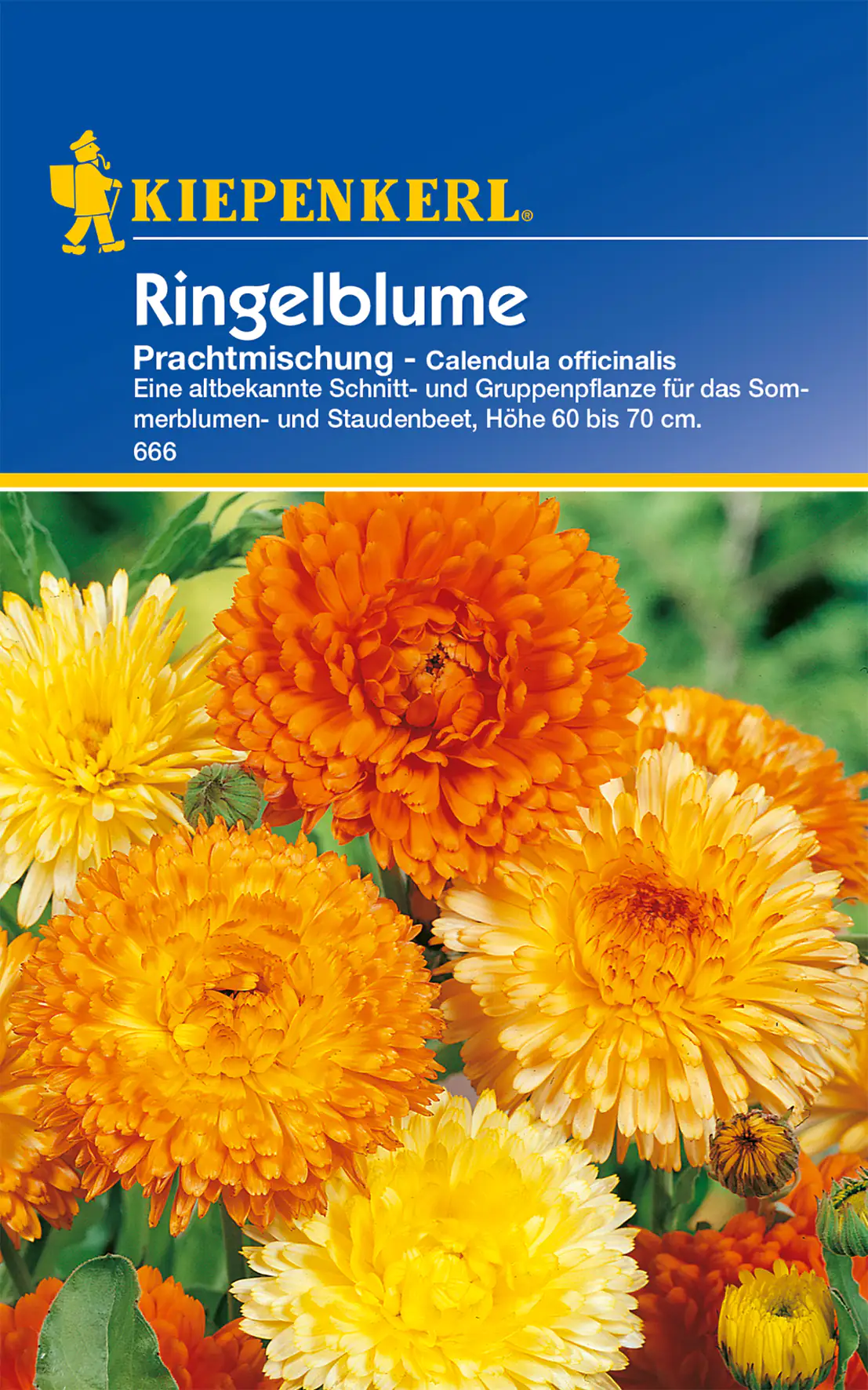 Kiepenkerl Ringelblume Prachtmischung