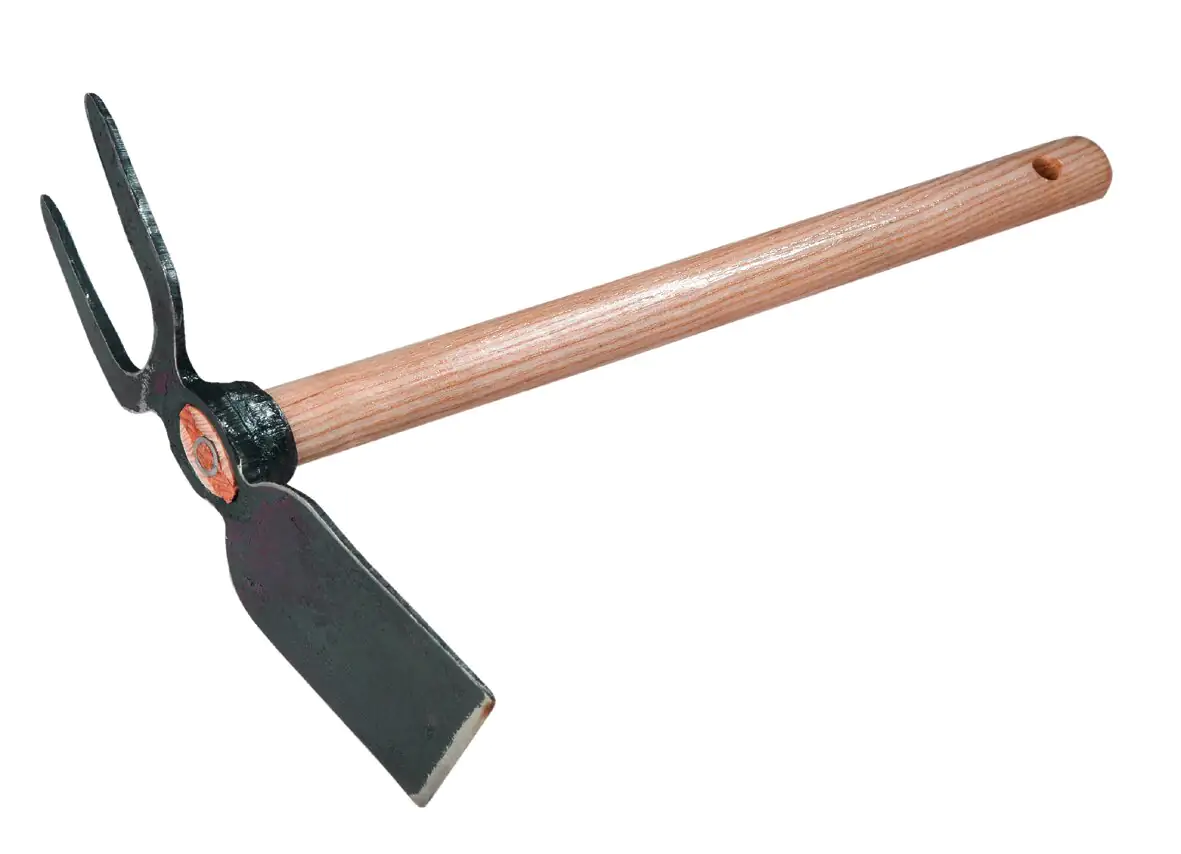 Freund Victoria Breitblatt-Kleinhacke ideal für Hochbeete