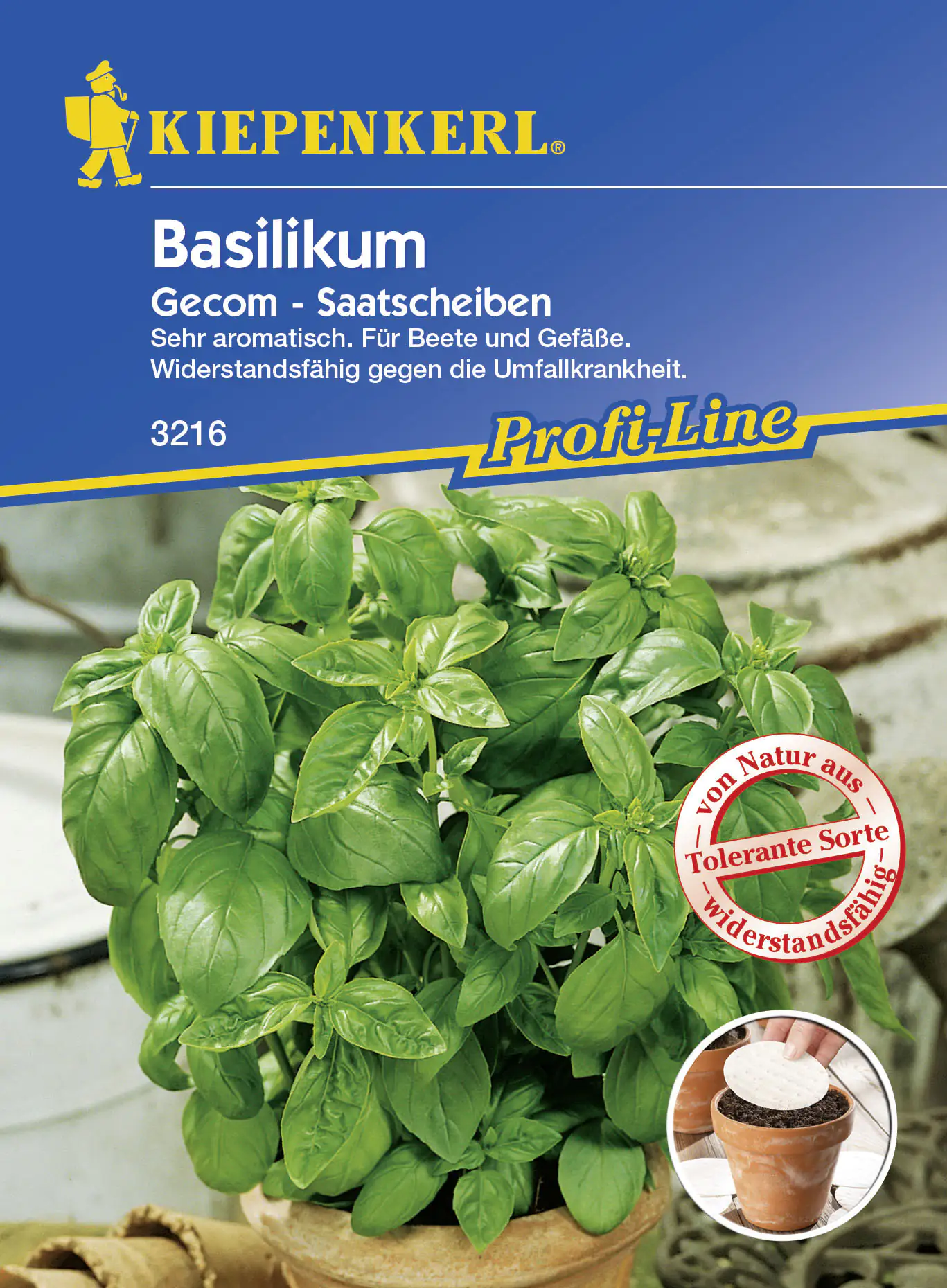 Kiepenkerl Basilikum Gecom Ocimum basilicum, Inhalt: 5 Saatscheiben Kiepenkerl Basilikum Gecom Ocimum basilicum, Inhalt: 5 Saatscheiben