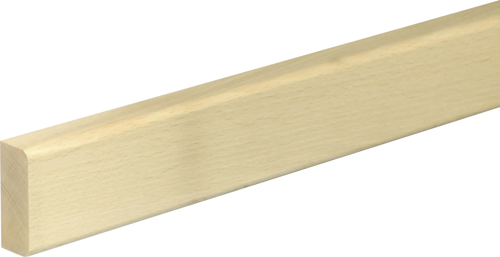 FN Neuhofer Bankleiste R6 95 cm 50 x 20 mm Buche