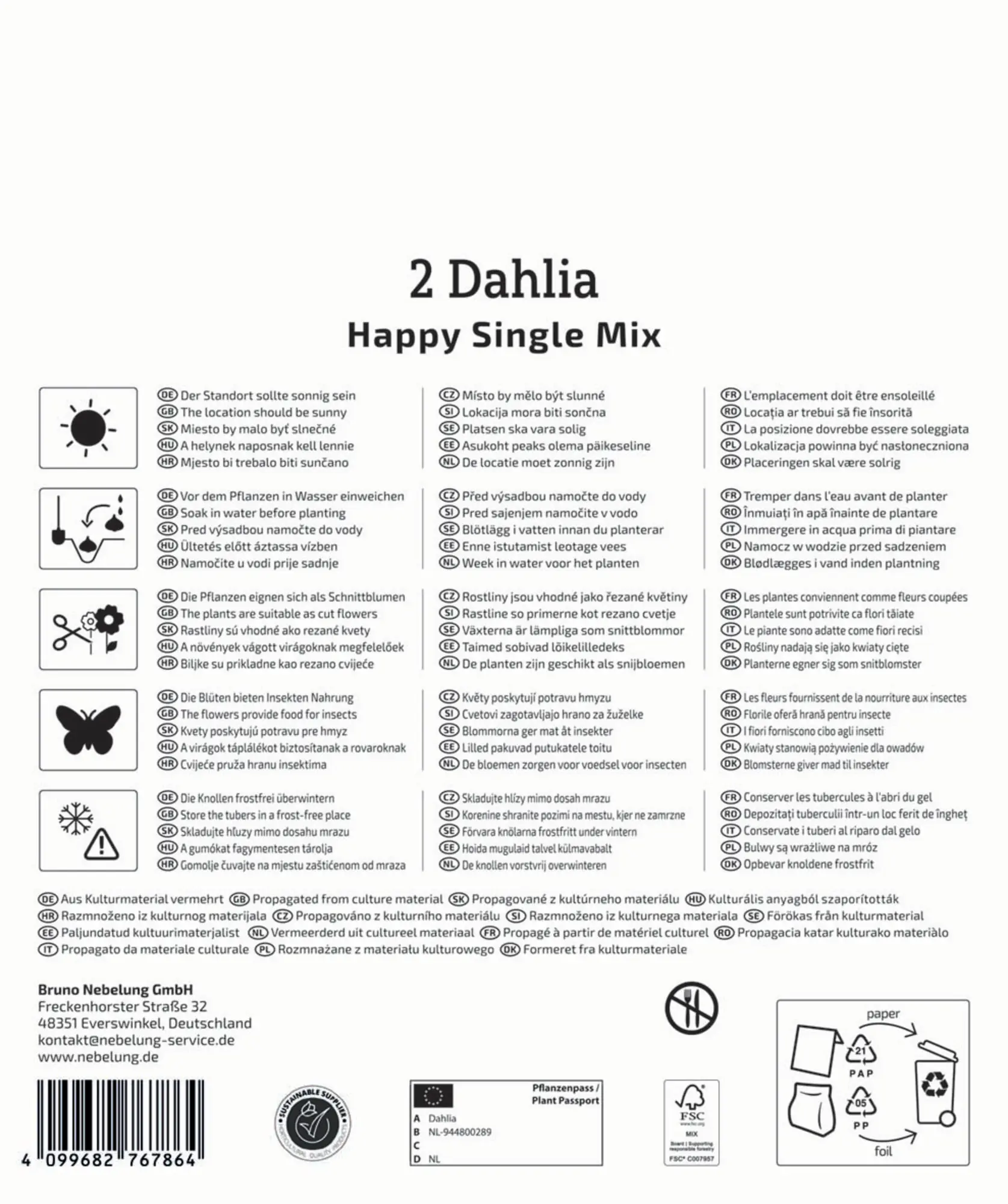 Kiepenkerl Mega-Pack Frühjahrsblumenzwiebel Dunkellaubige Dahlien Happy Single Mix 2 Stück