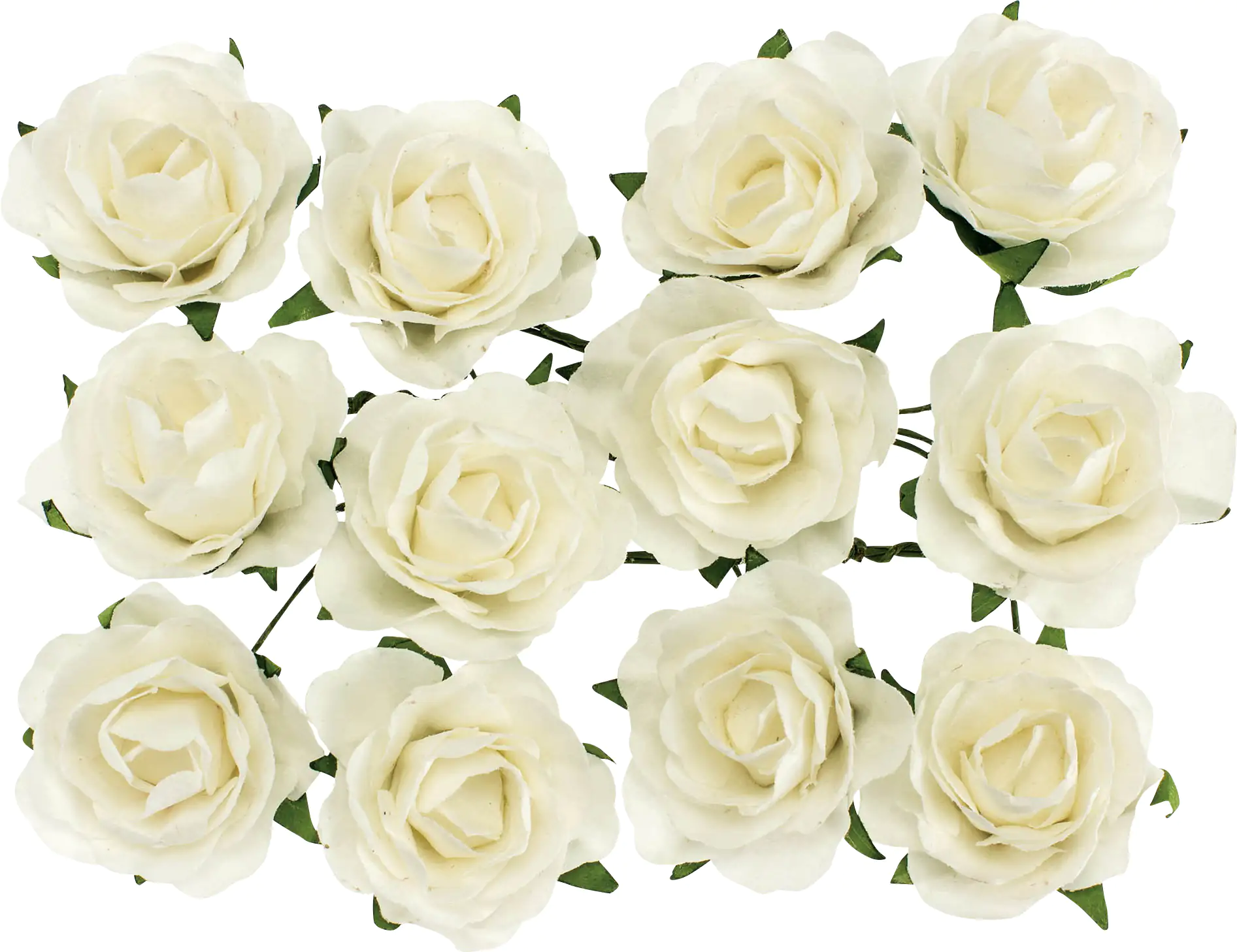 7610877527512 Röschen weiß mit Draht 30 mm 12 Stück