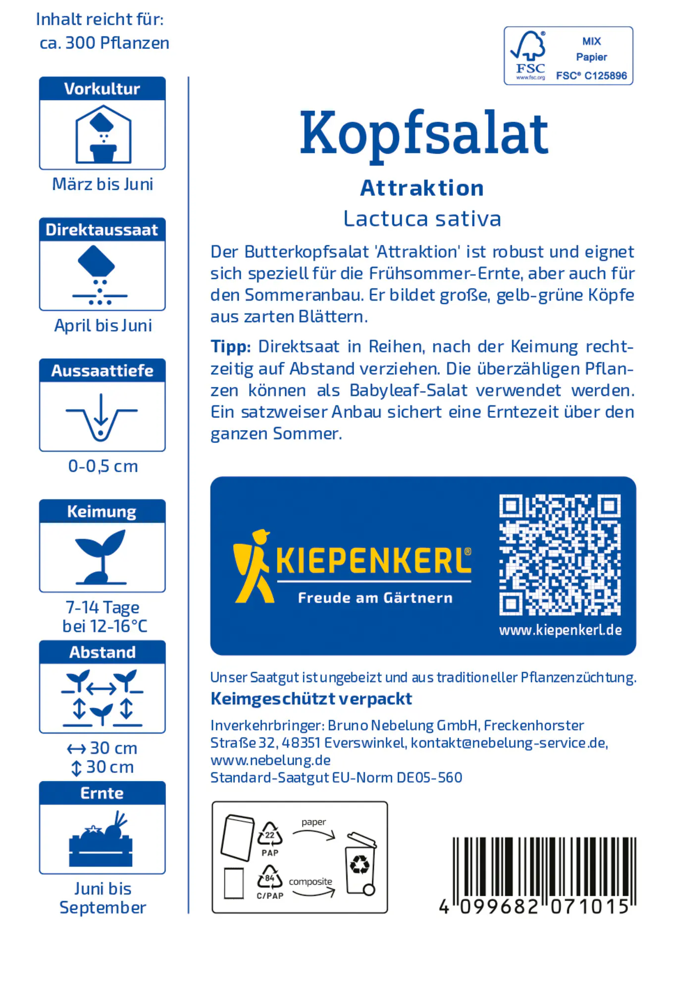 Kiepenkerl Saatgut Kopfsalat Attraktion für ca. 300 Pflanzen