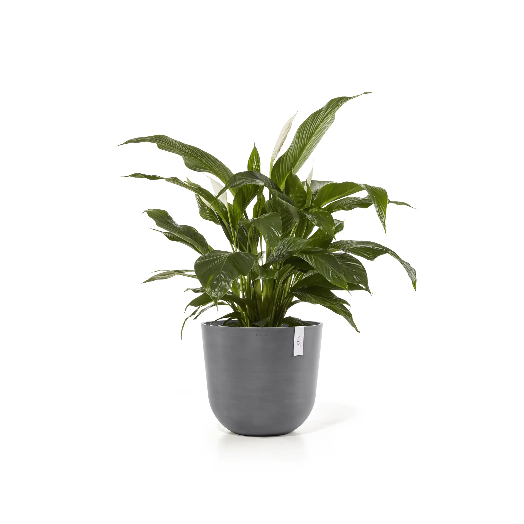 Ecopots Pflanztopf Oslo Ø 45 x 39,2 cm grau Ecopots Pflanztopf Oslo Ø 45 x 39,2 cm grau