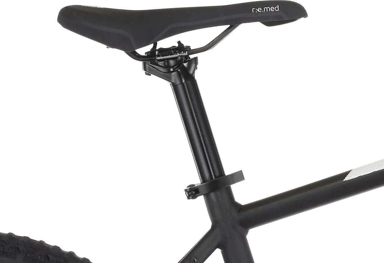 Fischer E-Bike MTB EM 1724.1 29 Zoll 24-Gang 557 Wh schwarz 61751 Fischer E-Bike MTB EM 1724.1 29 Zoll 24-Gang 557 Wh schwarz 61751