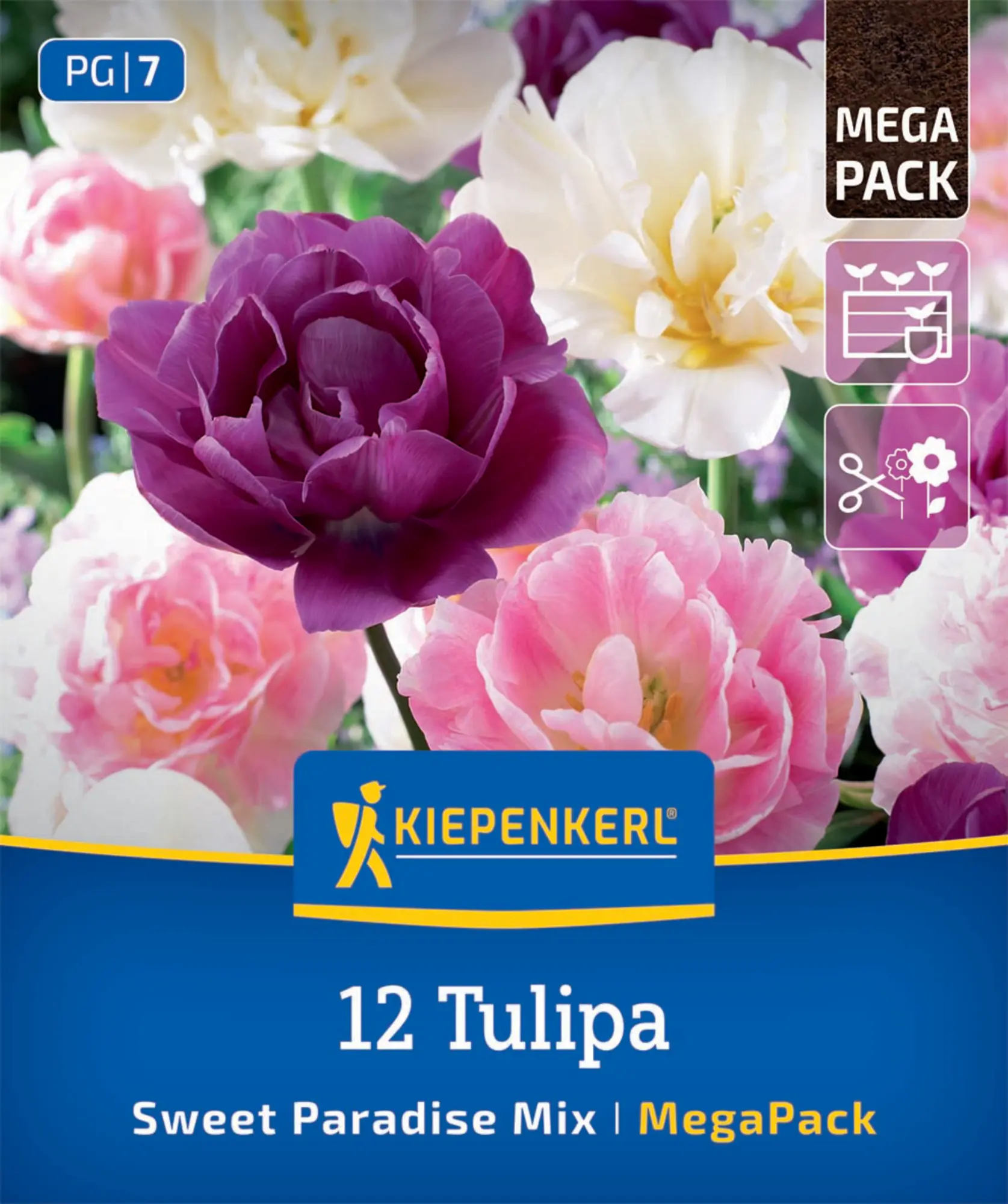 Kiepenkerl Herbstblumenzwiebel Artenmischung Sweet Paradise Mix 12 Stück