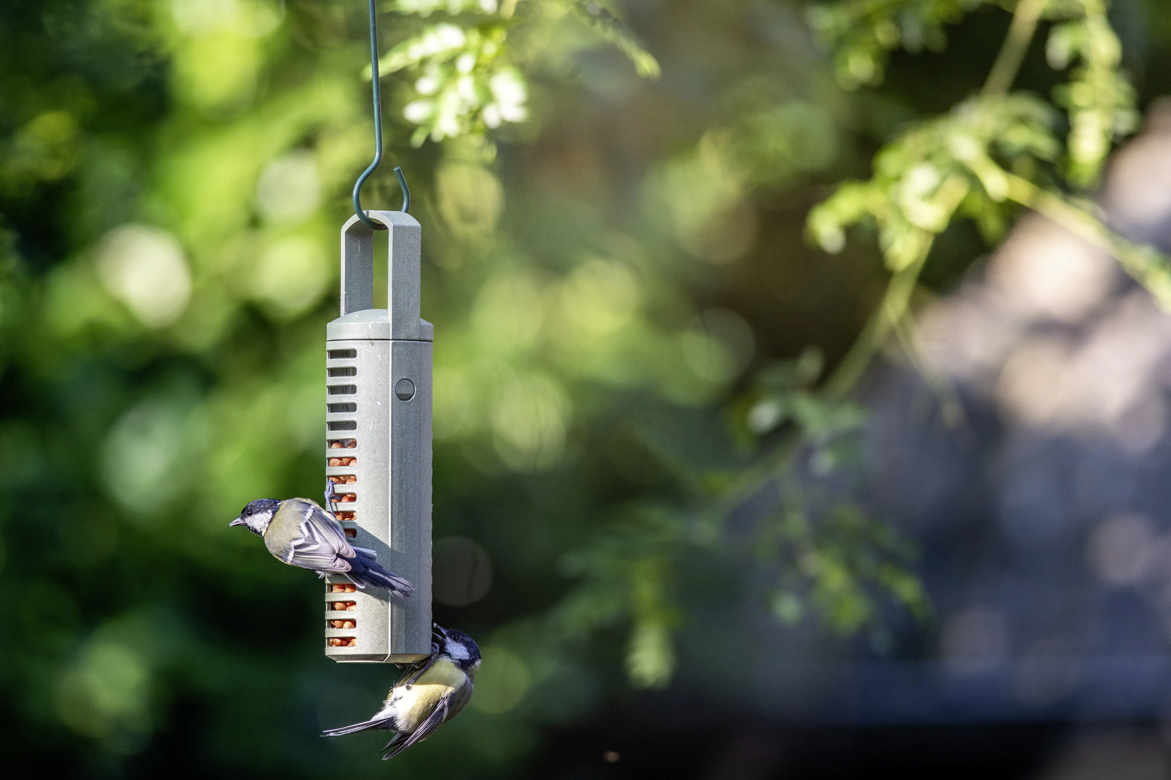 CJ Wildbird Erdnusssäule für Wildvögel